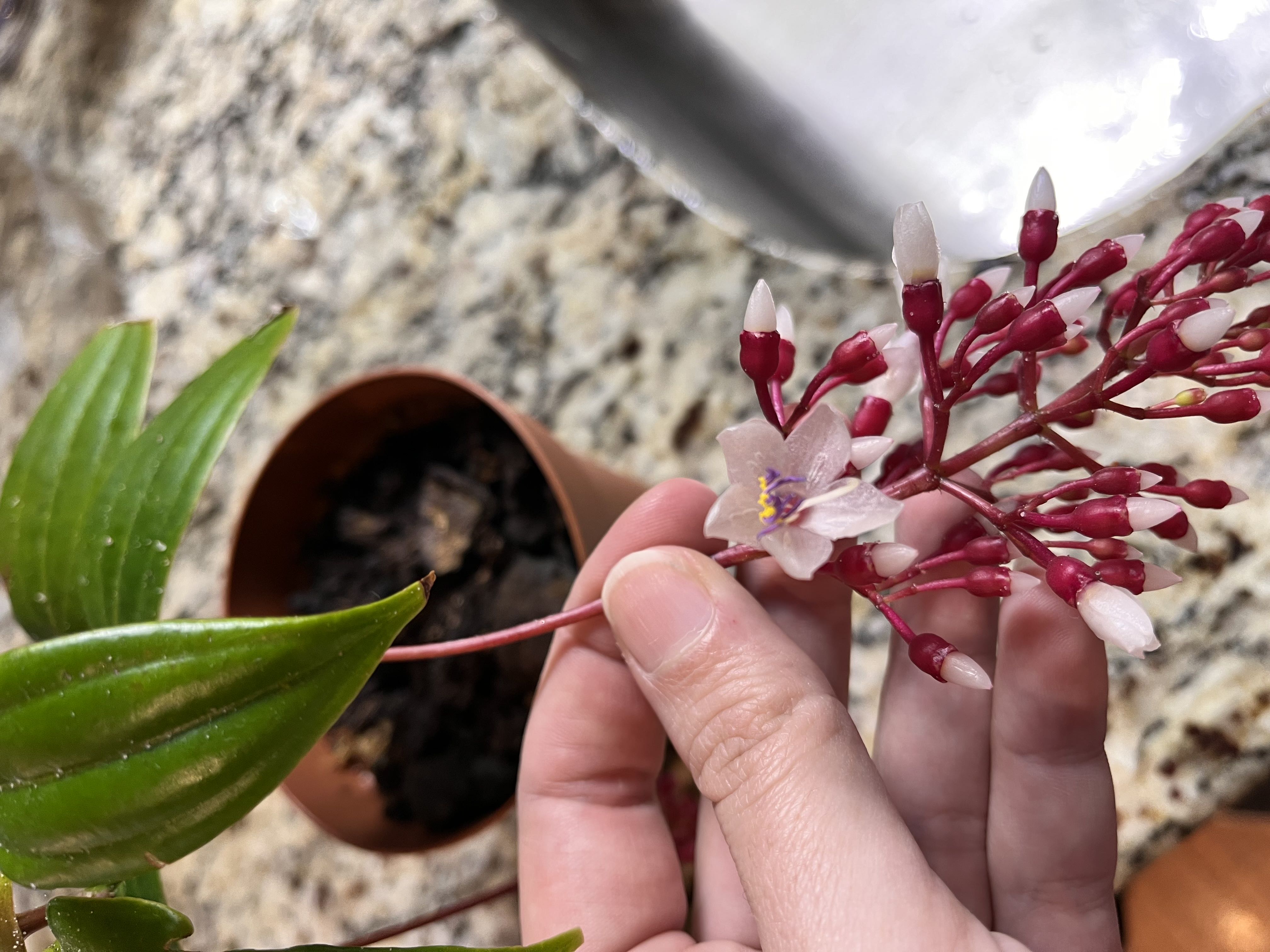 Photo from the post