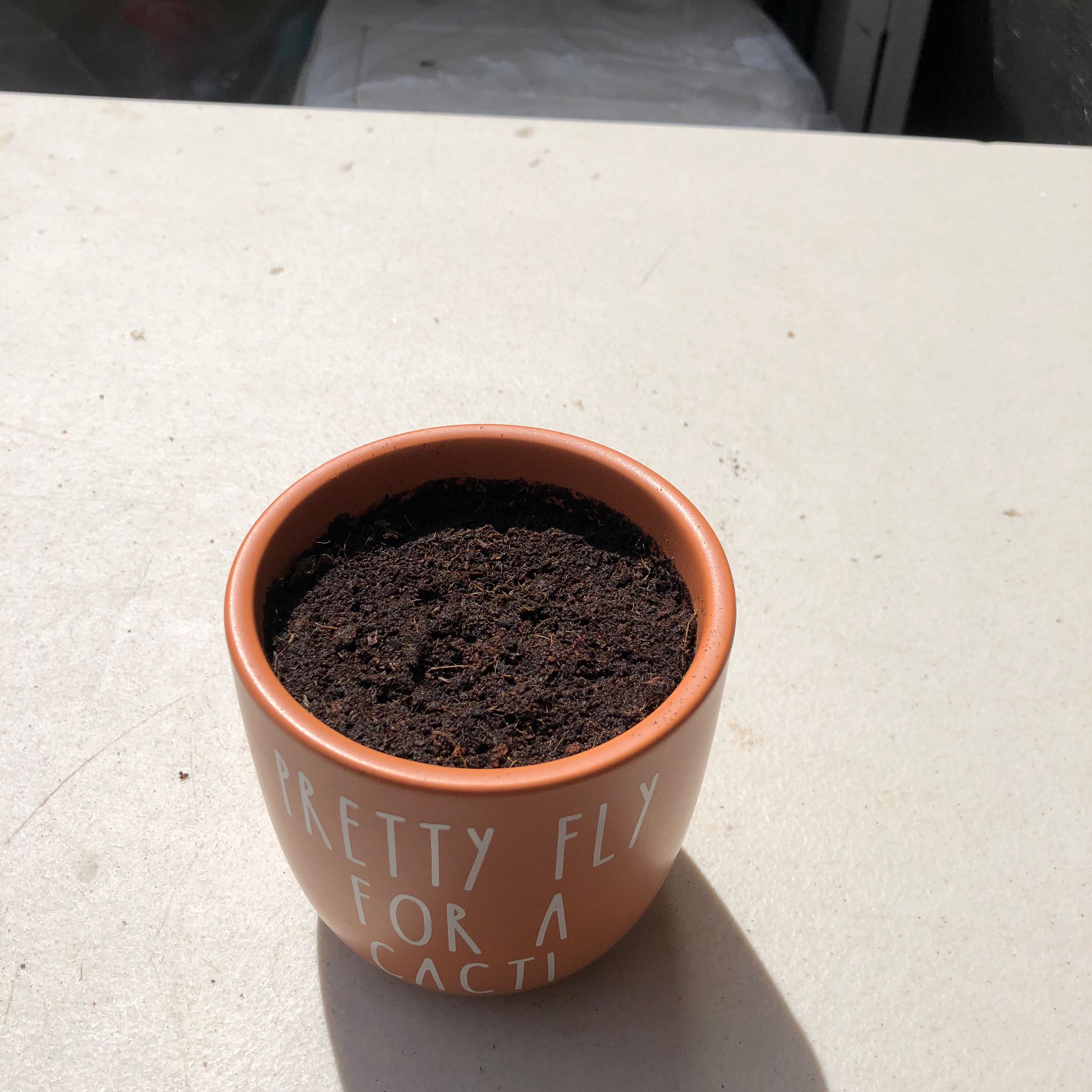 Photo of the plant species Narrow-Leaved Meadow-Grass by @YummyJudastree named Muhammad Ali on Greg, the plant care app