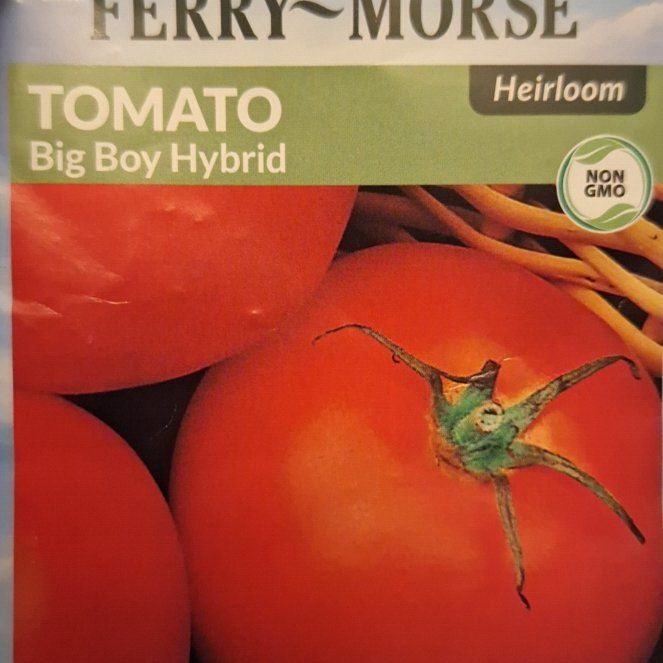 Photo of the plant species Big Boy Tomato by @ToughCanadaplum named Taylor Swift on Greg, the plant care app
