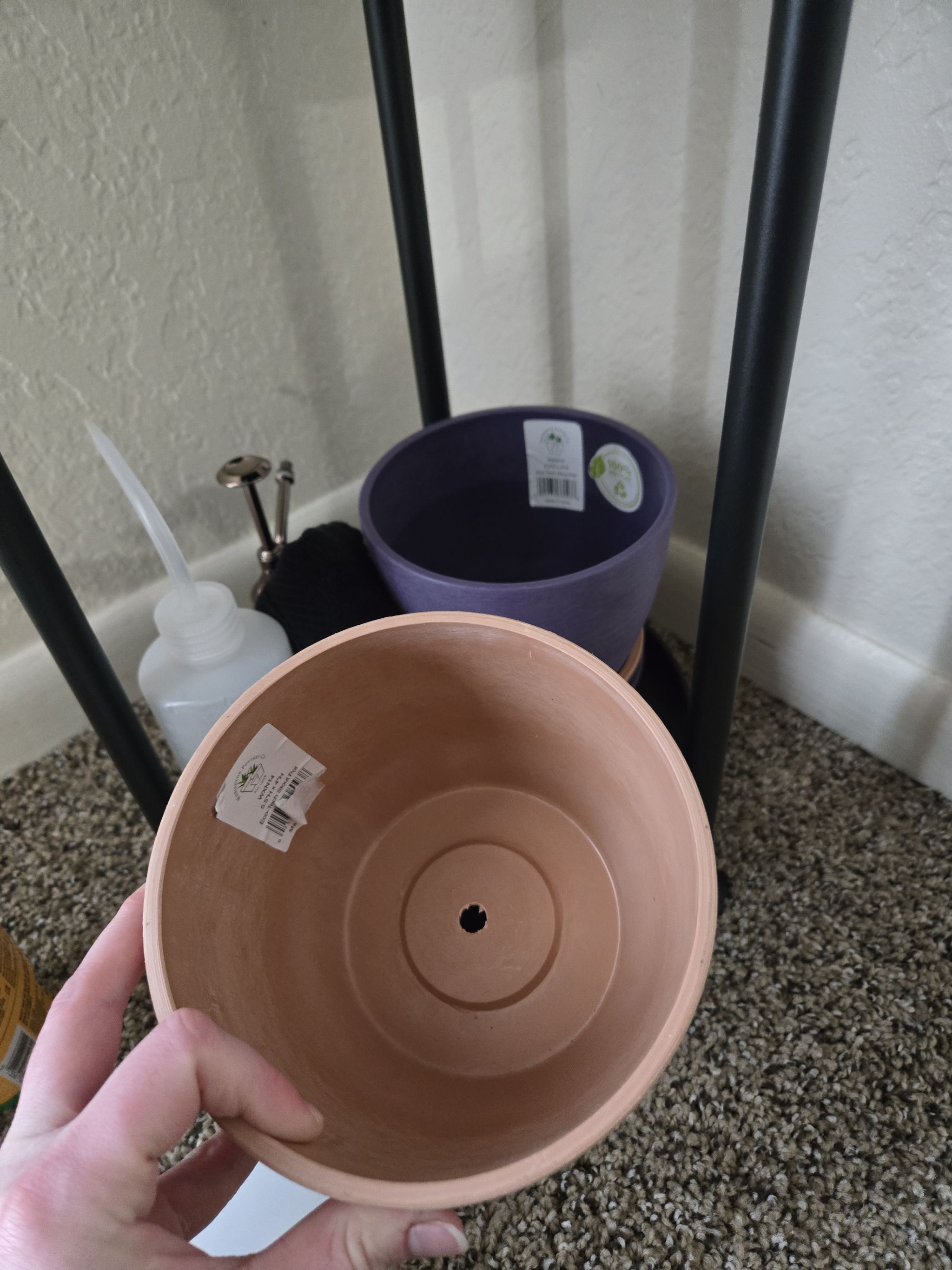 Photo from the post