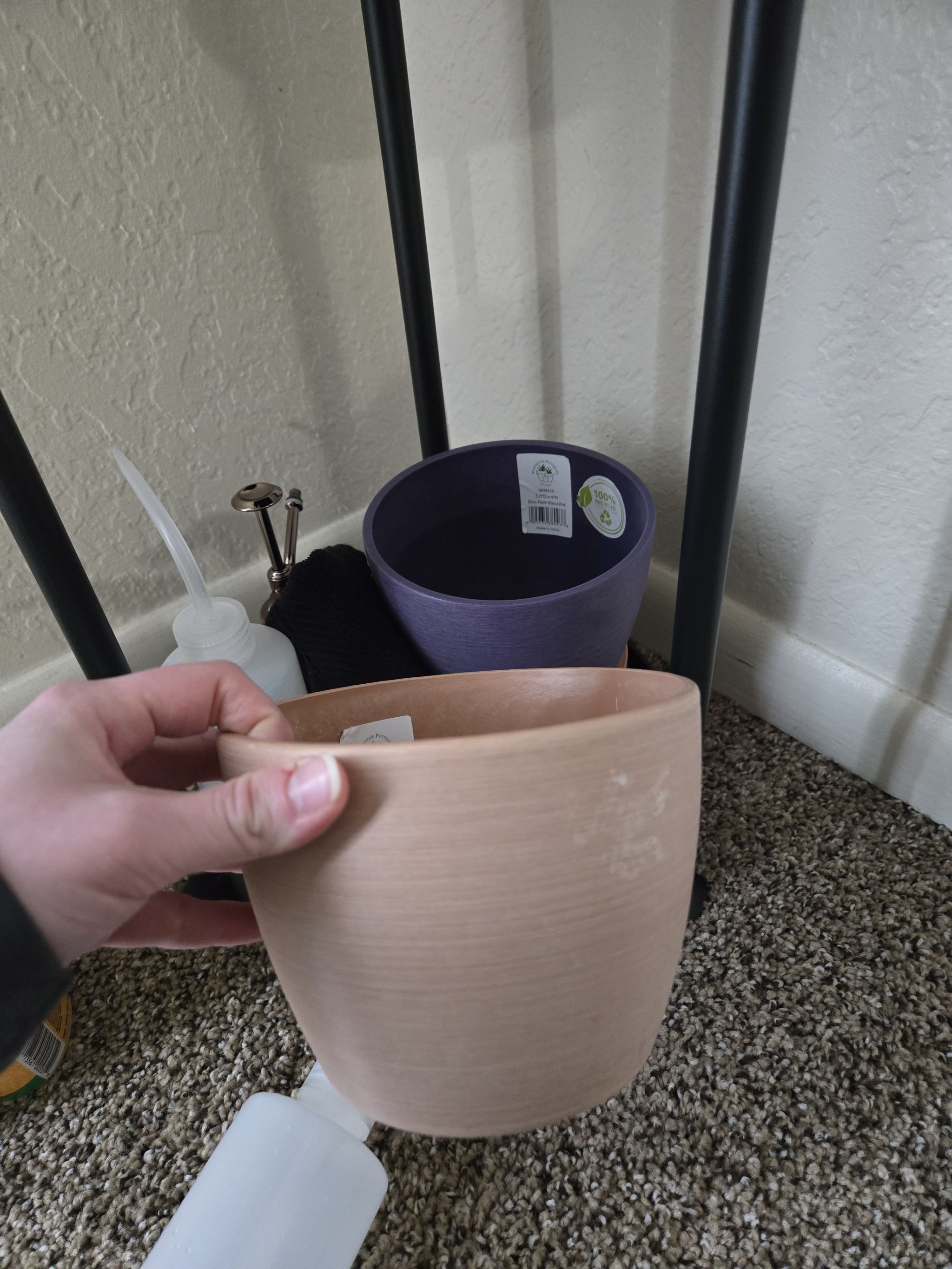 Photo from the post