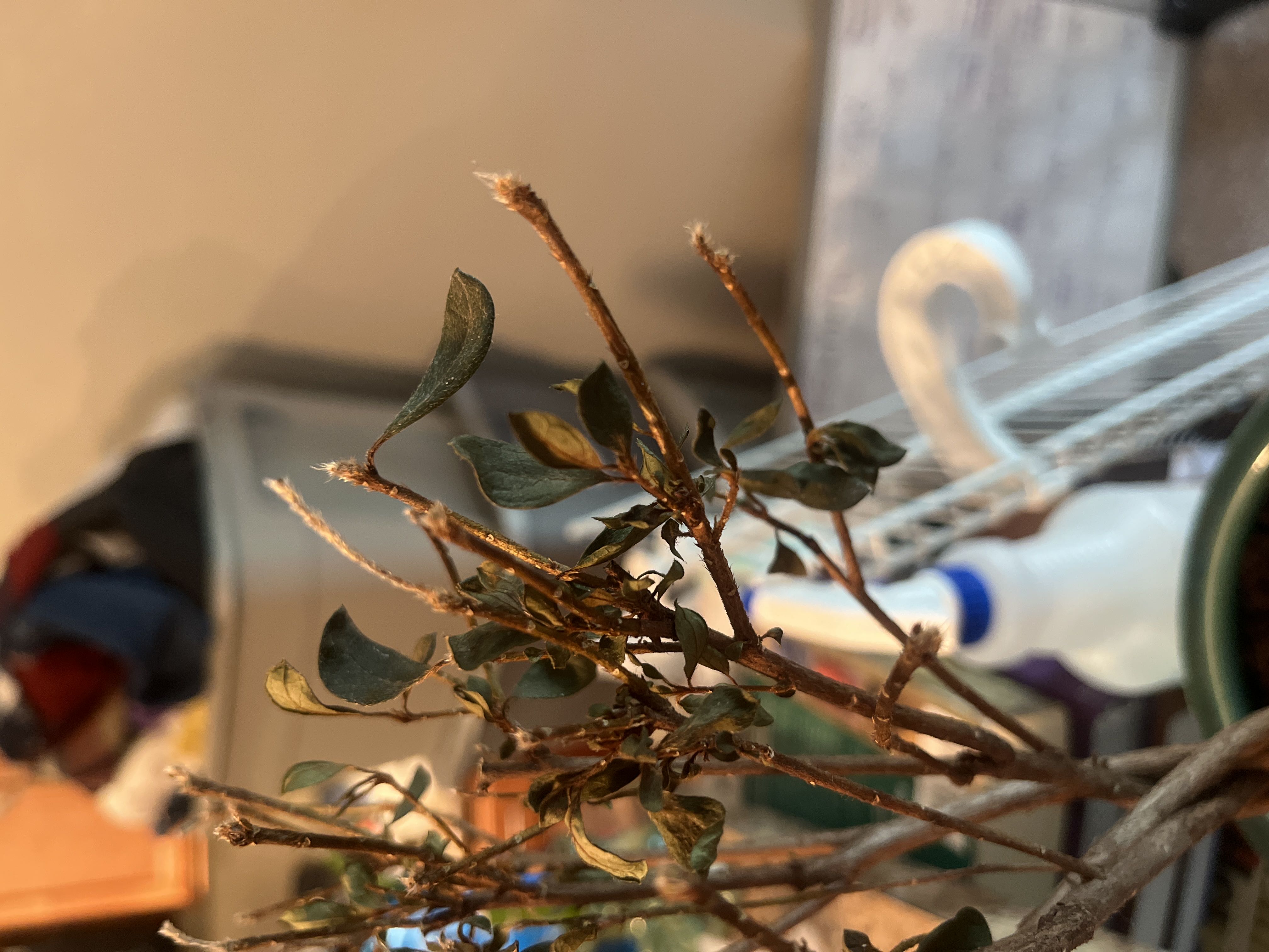 Photo from the post