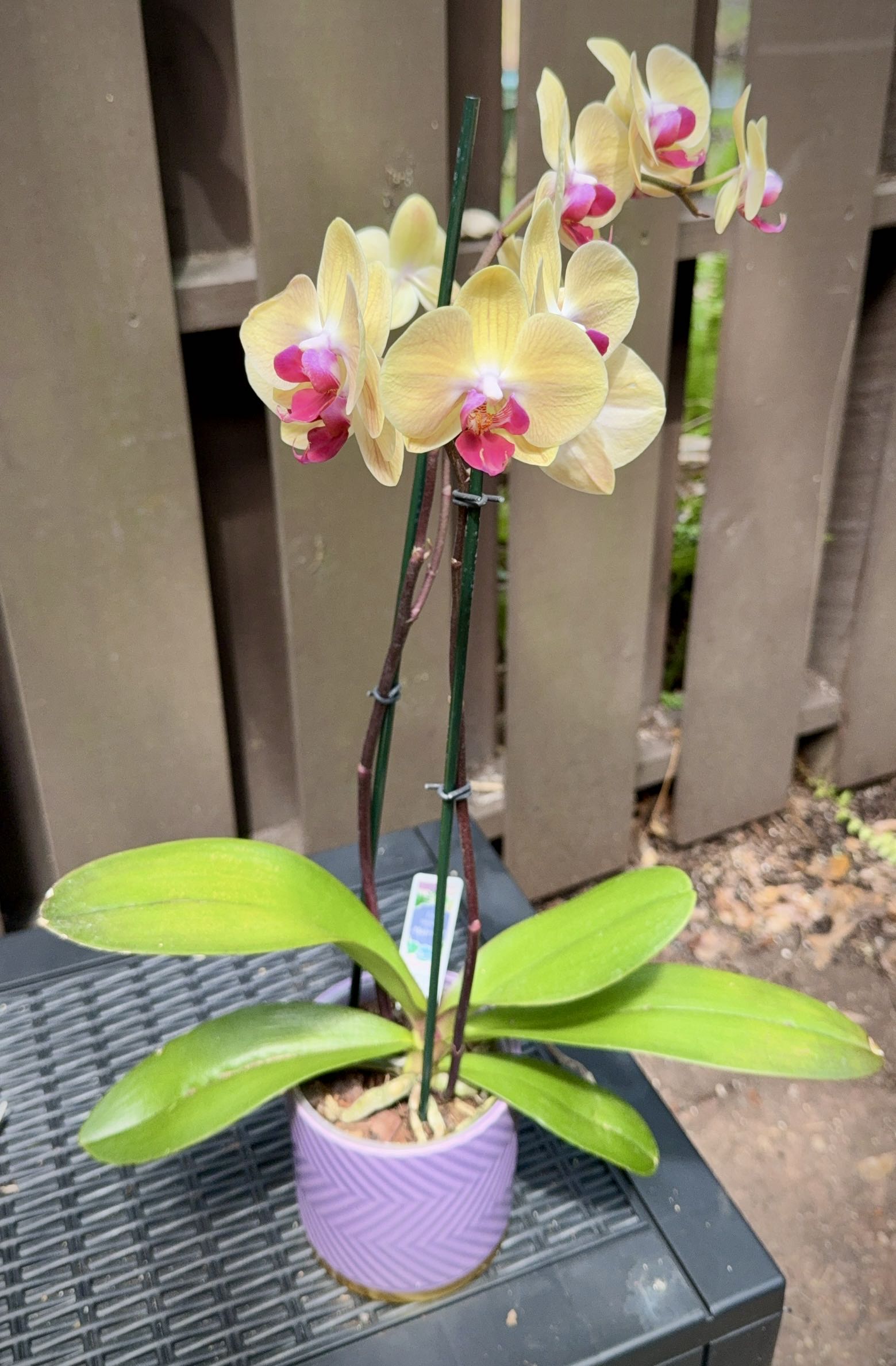Photo from the post