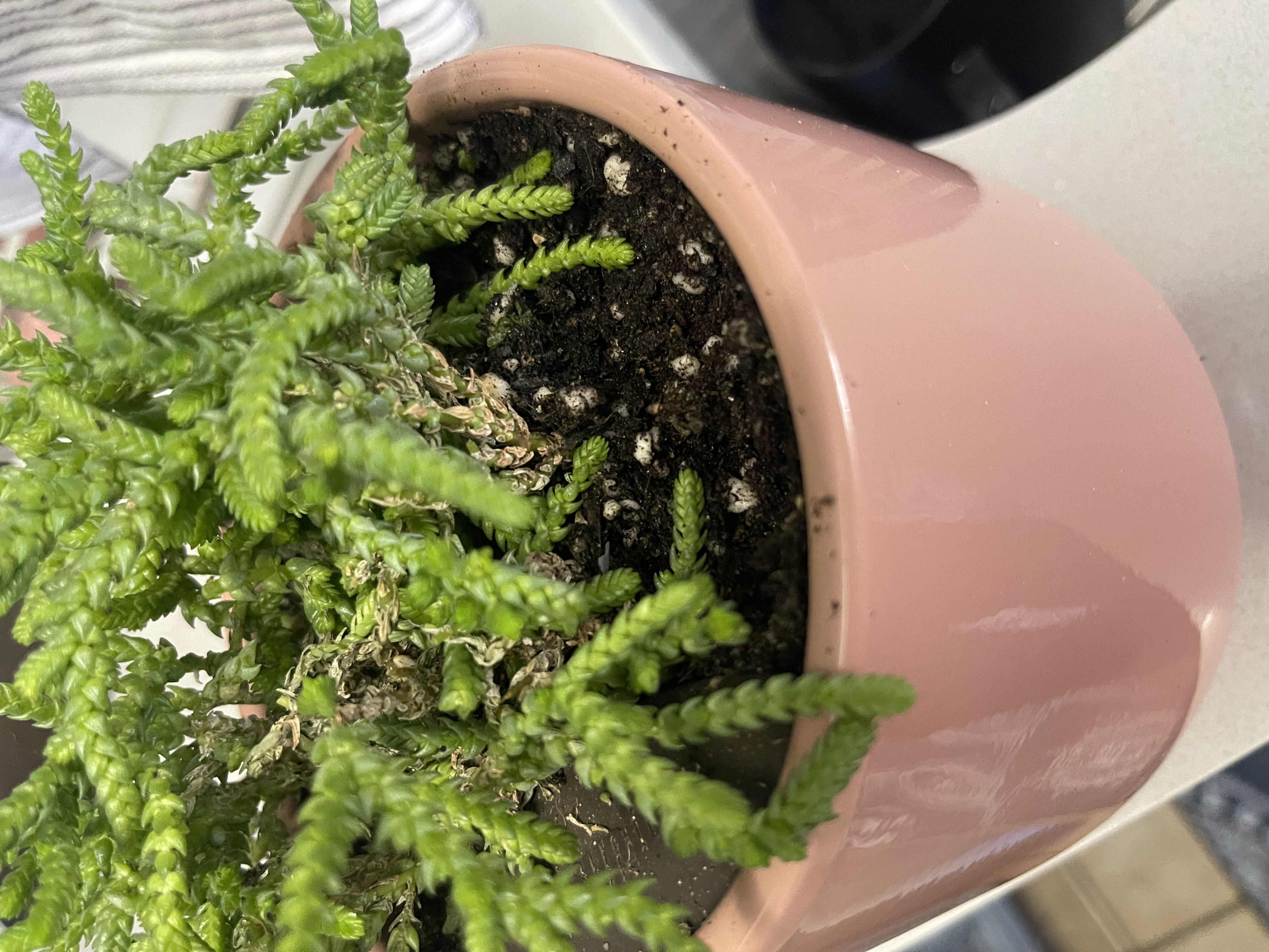 Photo from the post