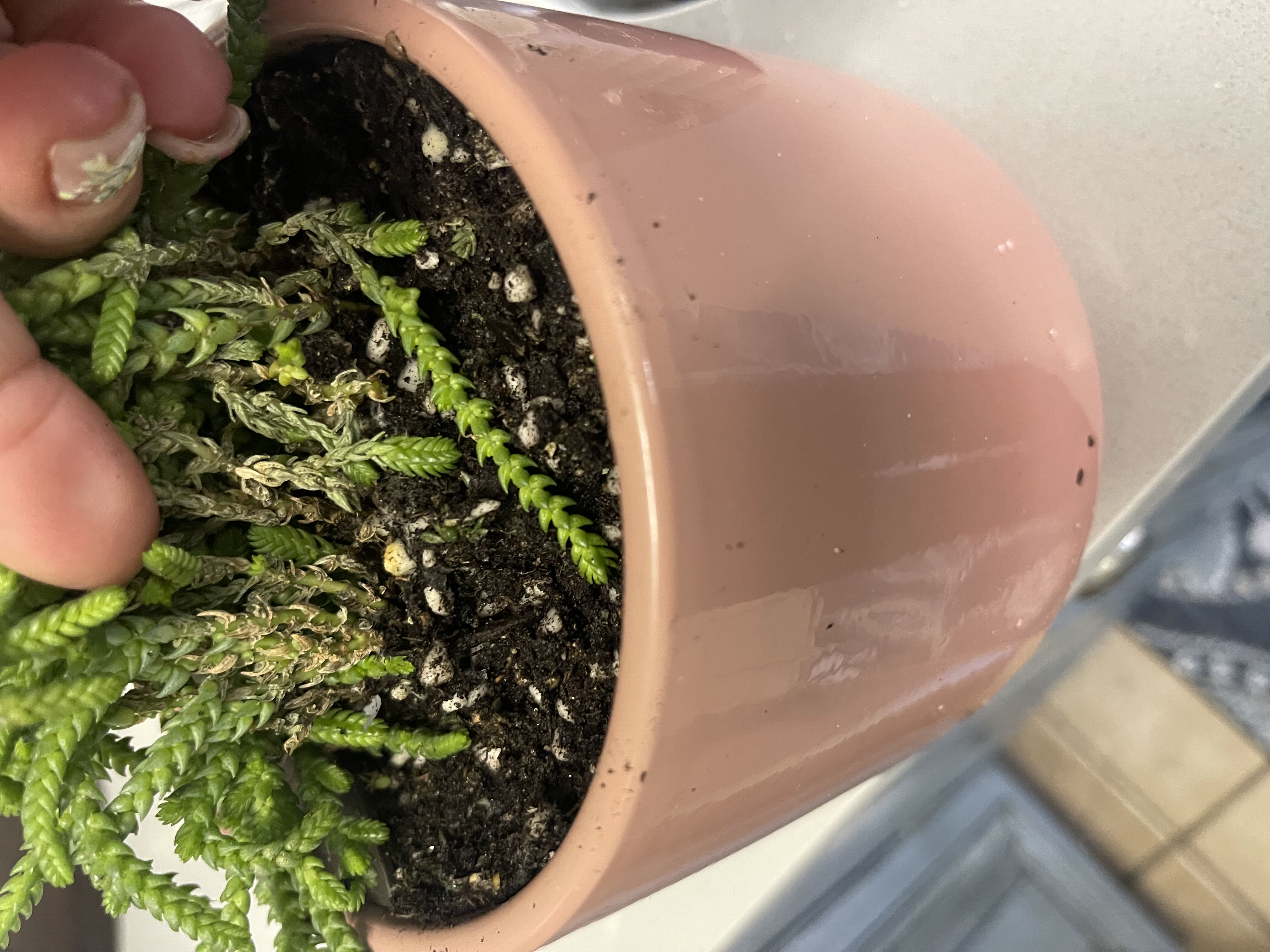 Photo from the post