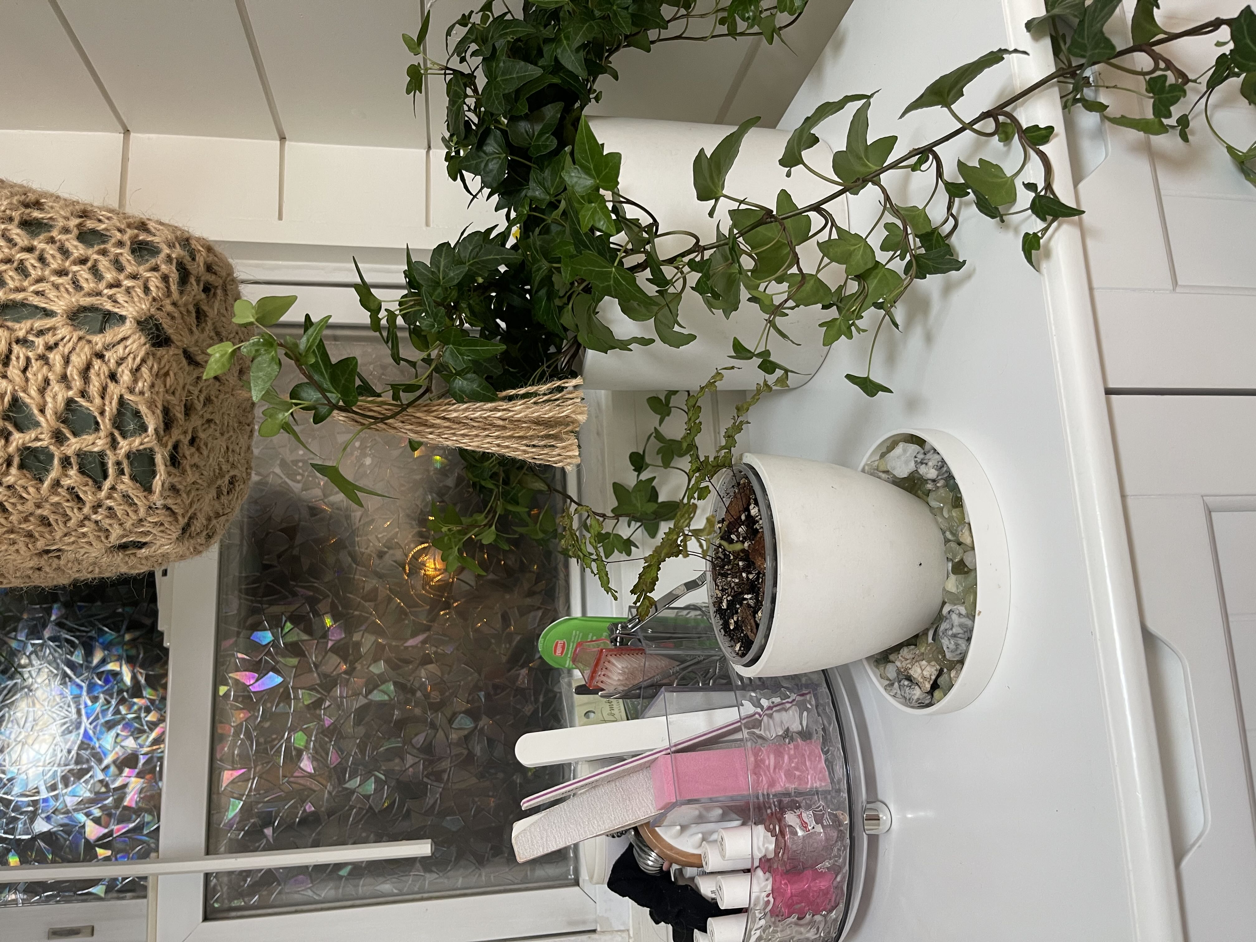 Photo from the post