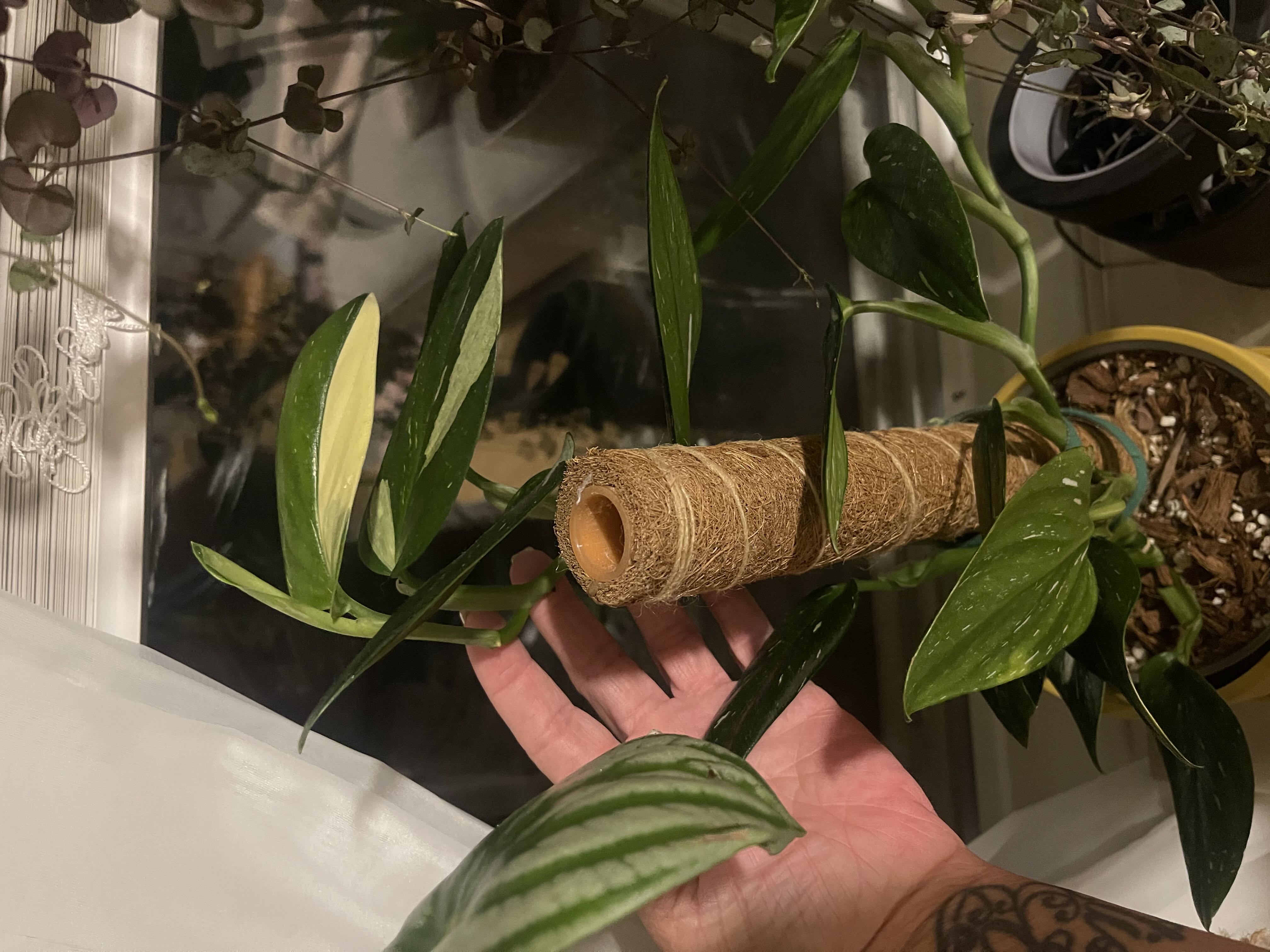 Photo from the post