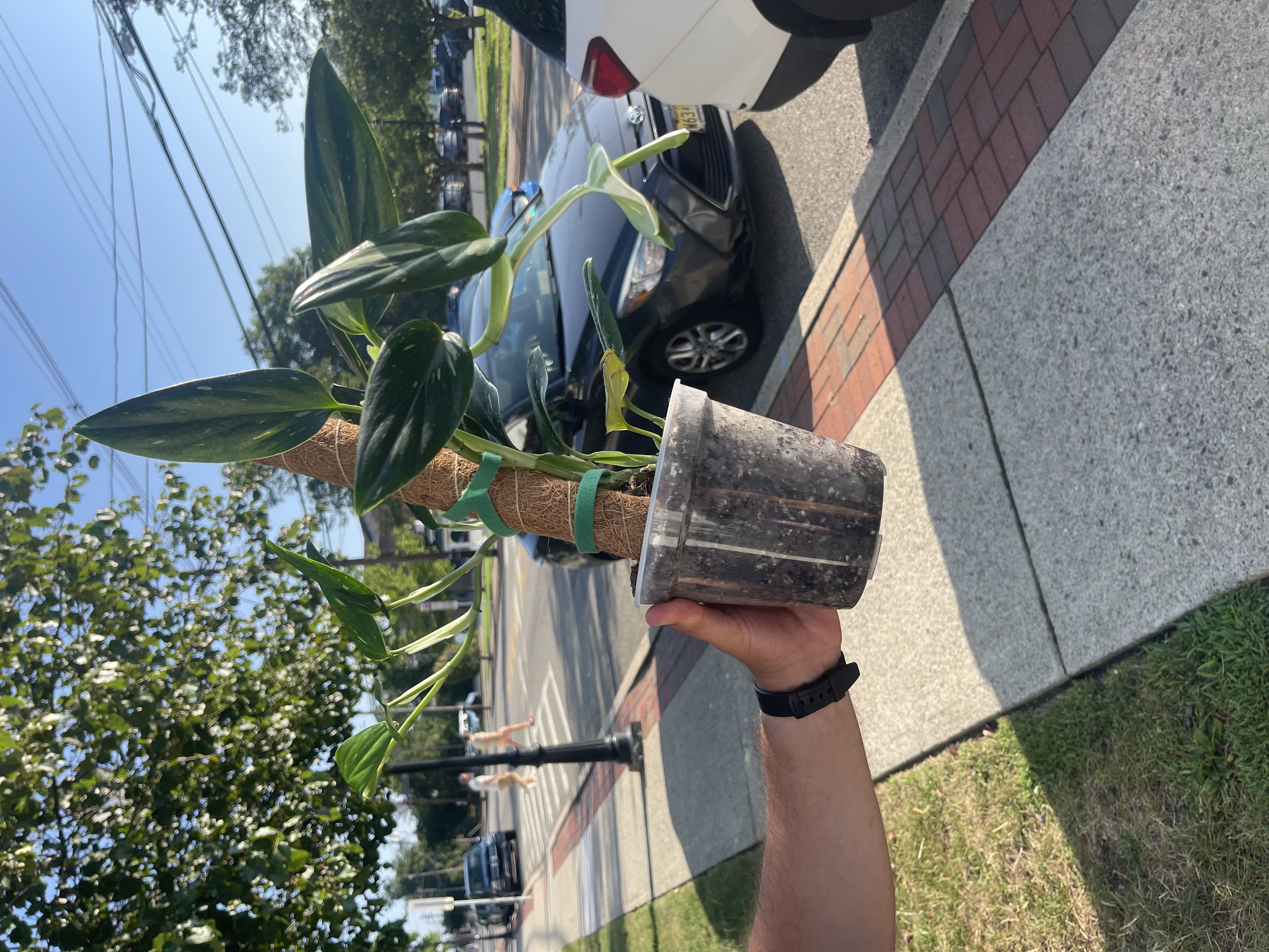 Photo from the post