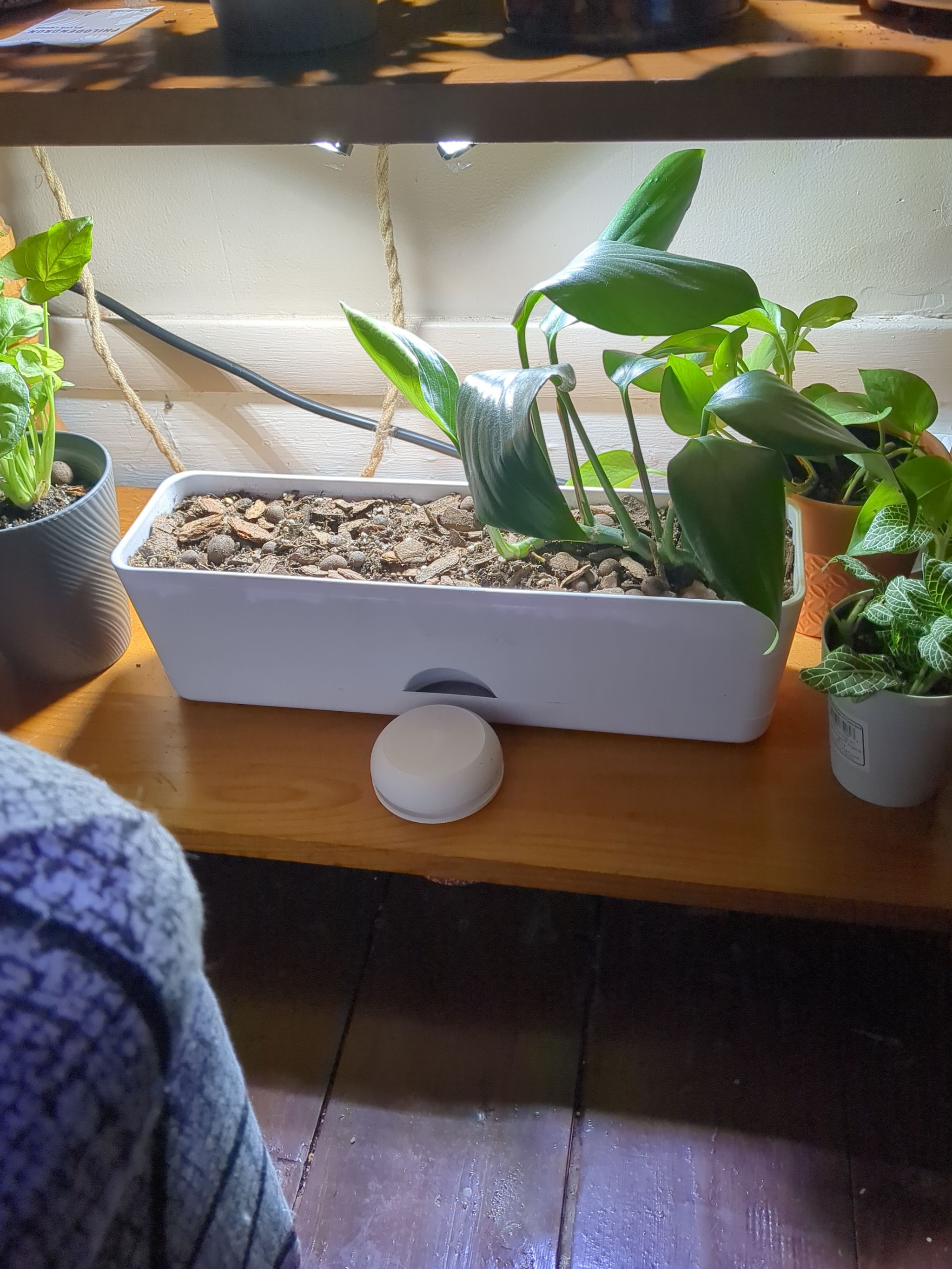 Photo from the post