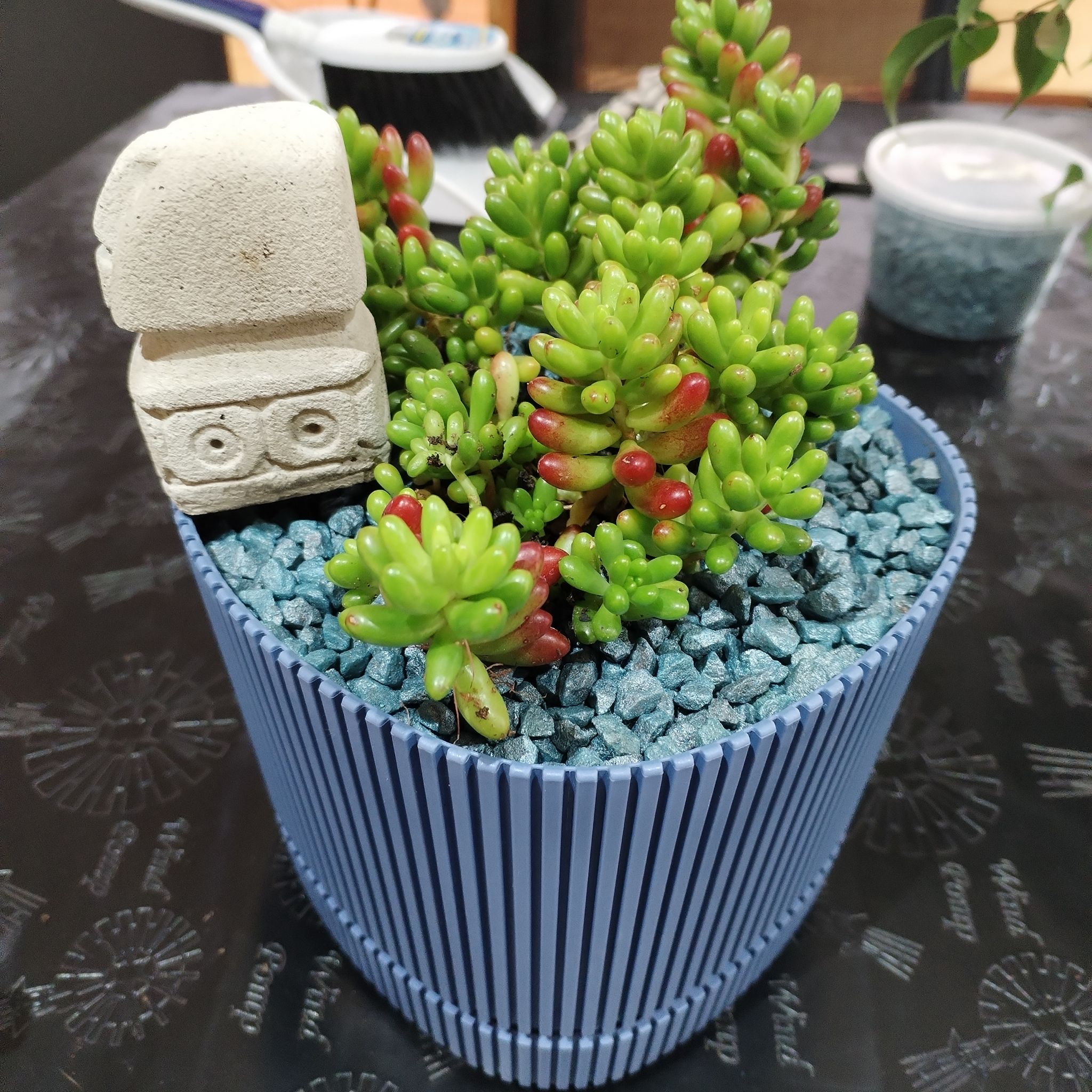 Photo of the plant species Jelly Bean Plant by @EvocativeRye67 named Moai on Greg, the plant care app