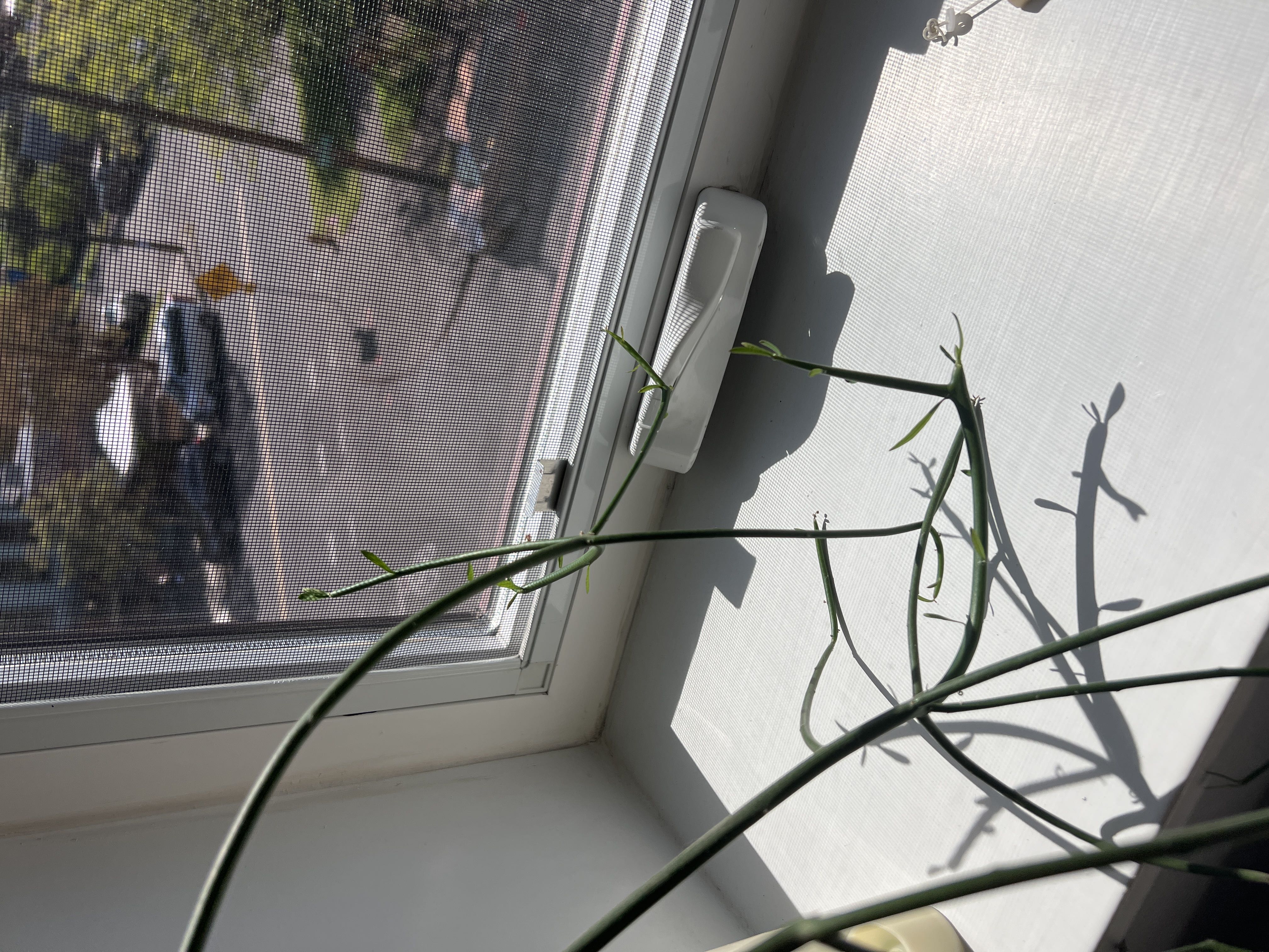 Photo from the post