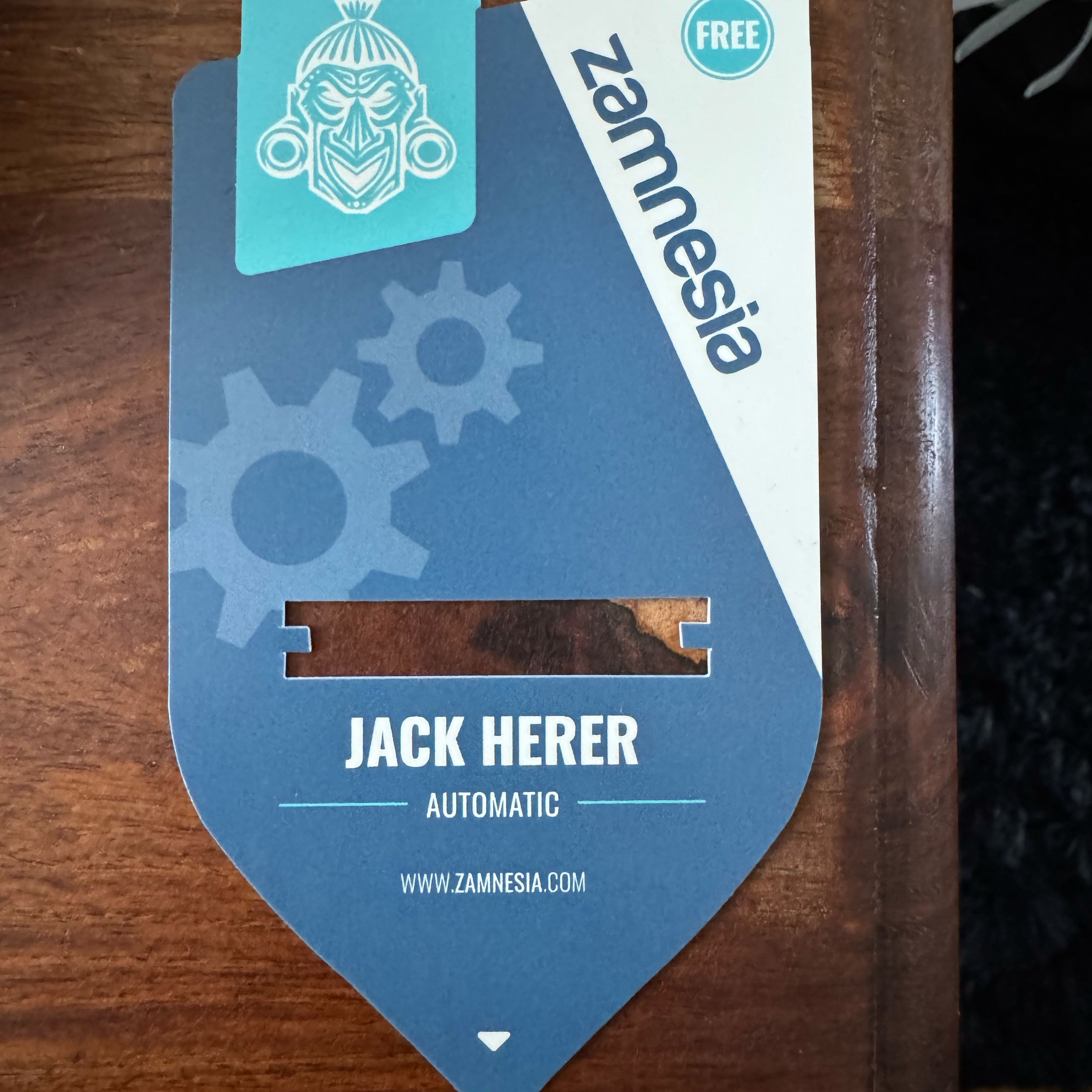 Photo of the plant species Jack Herer by @SavvyApricot19 named Orwell on Greg, the plant care app