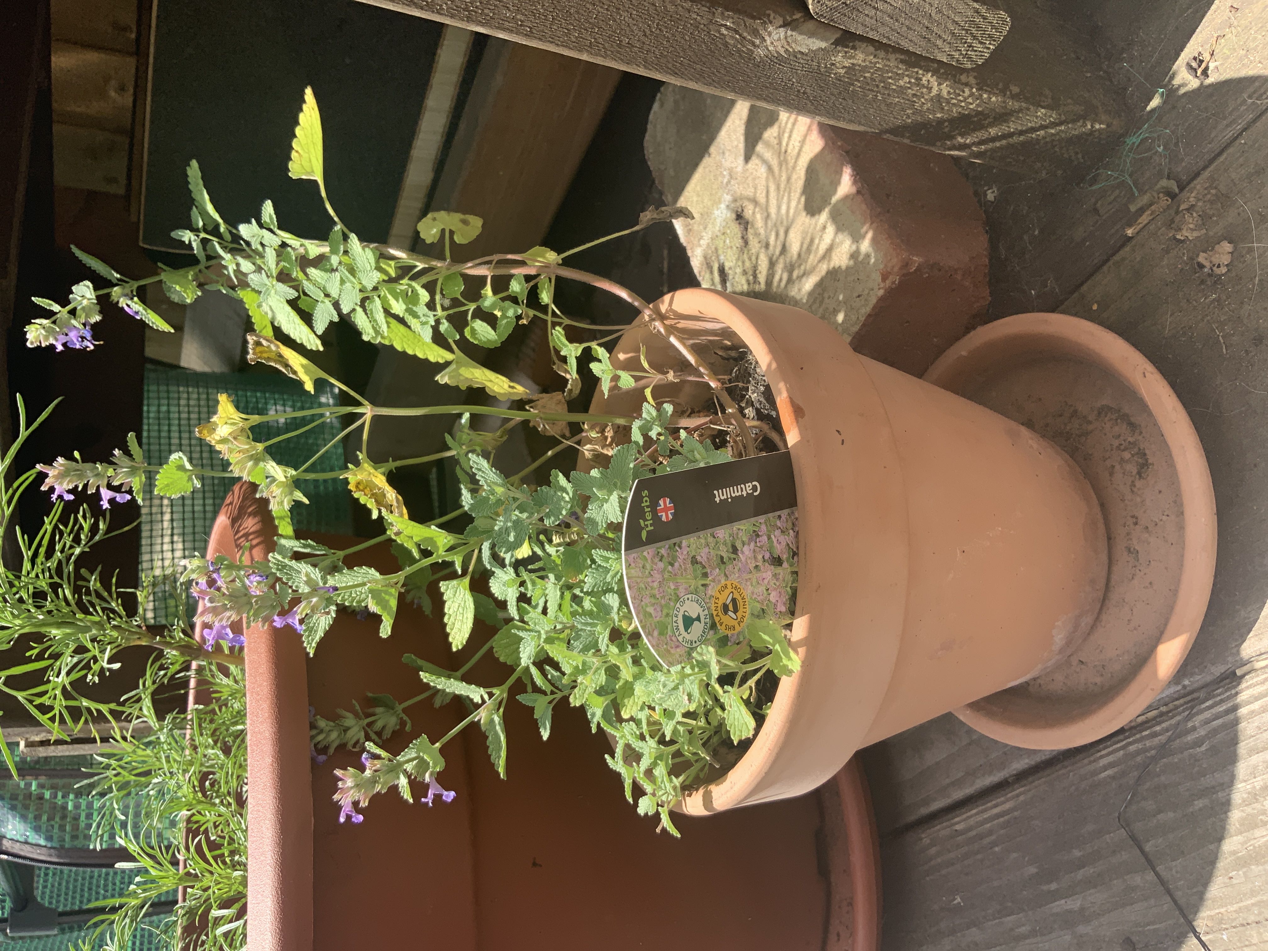 Photo from the post