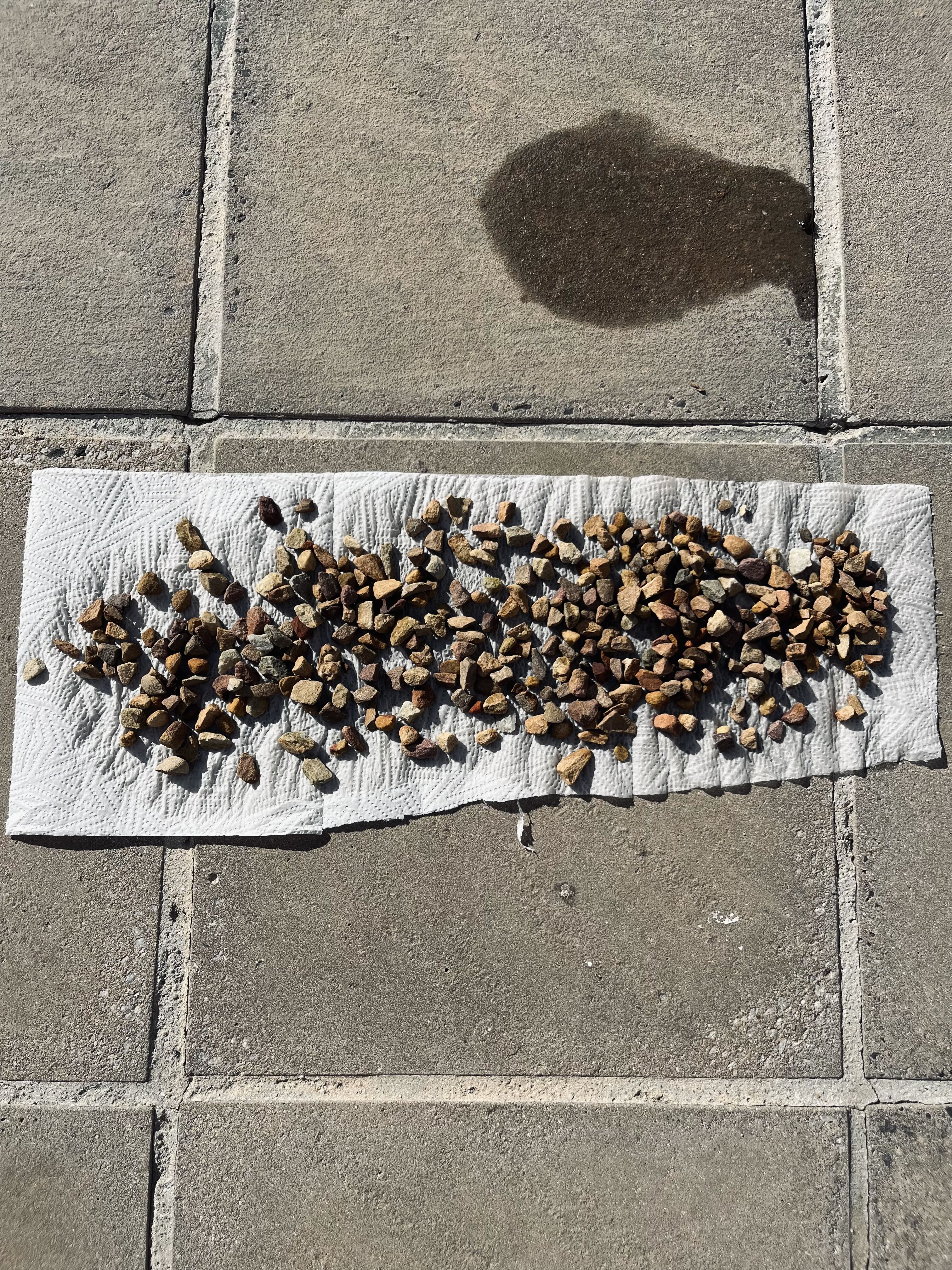 Photo from the post
