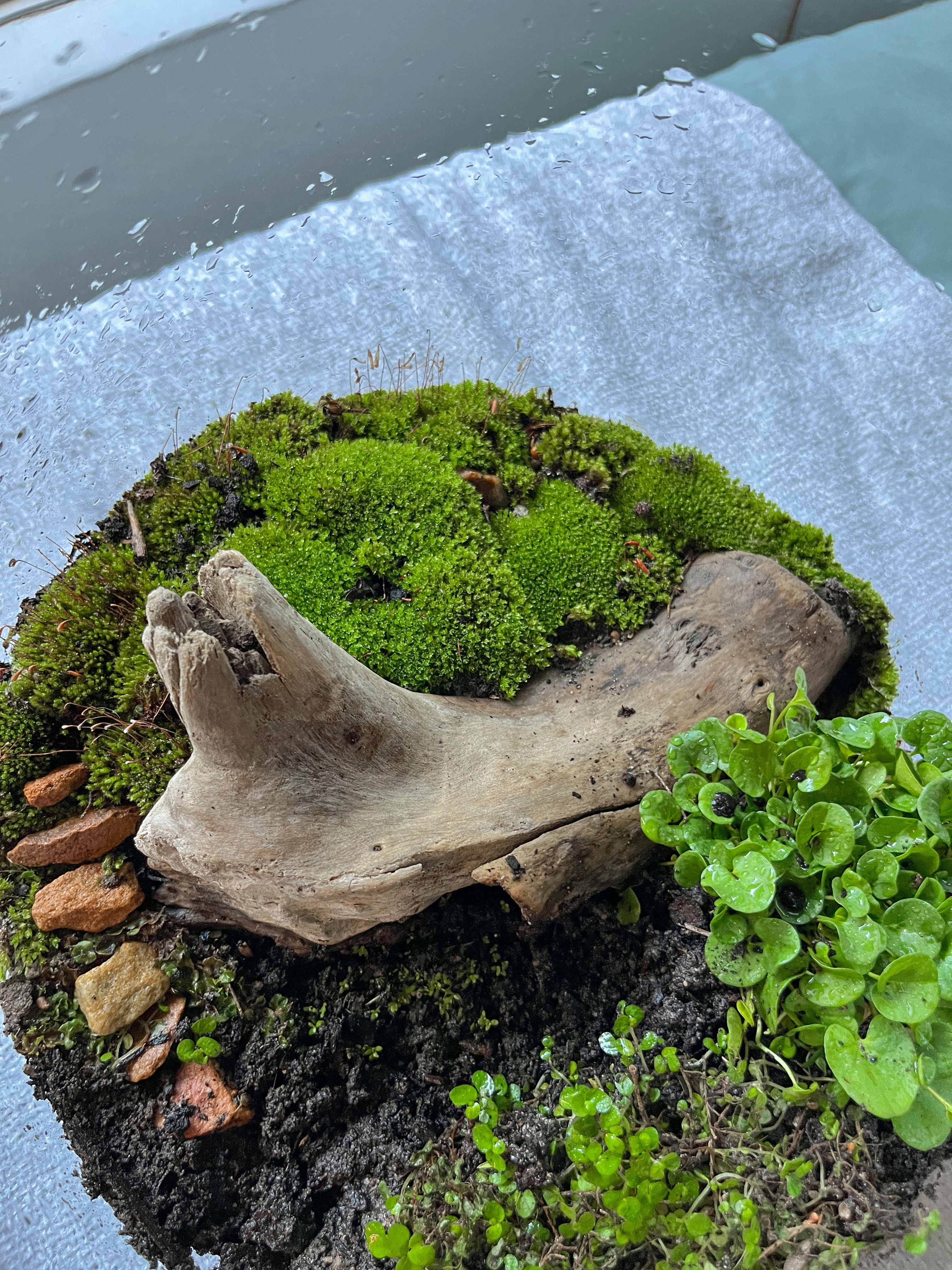 Photo from the post