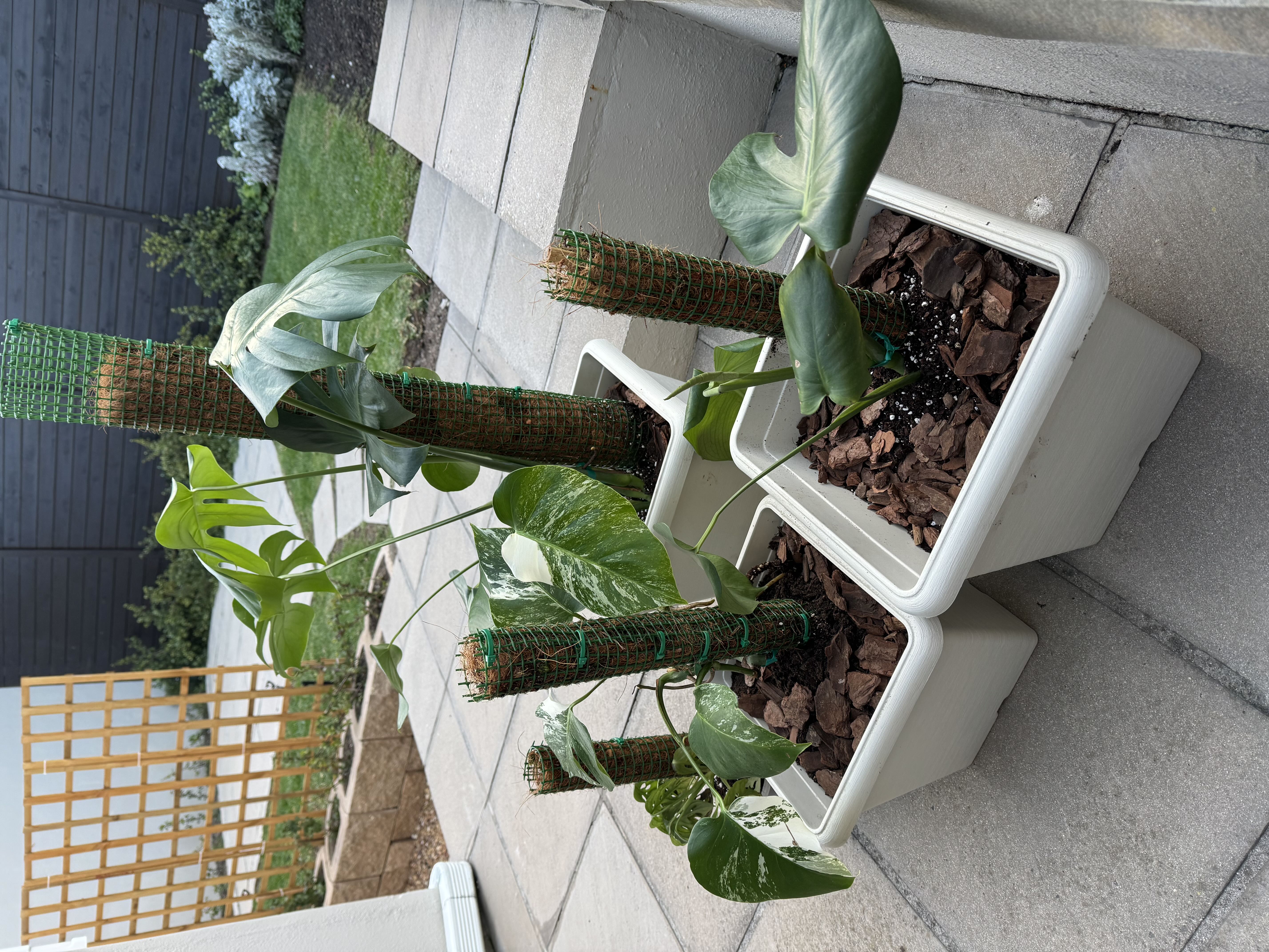 Photo from the post
