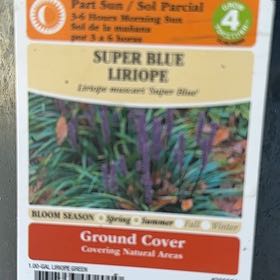 Photo of the plant species Super Blue Lilyturf by @NurseHairygrama named Bigleef Smalls on Greg, the plant care app