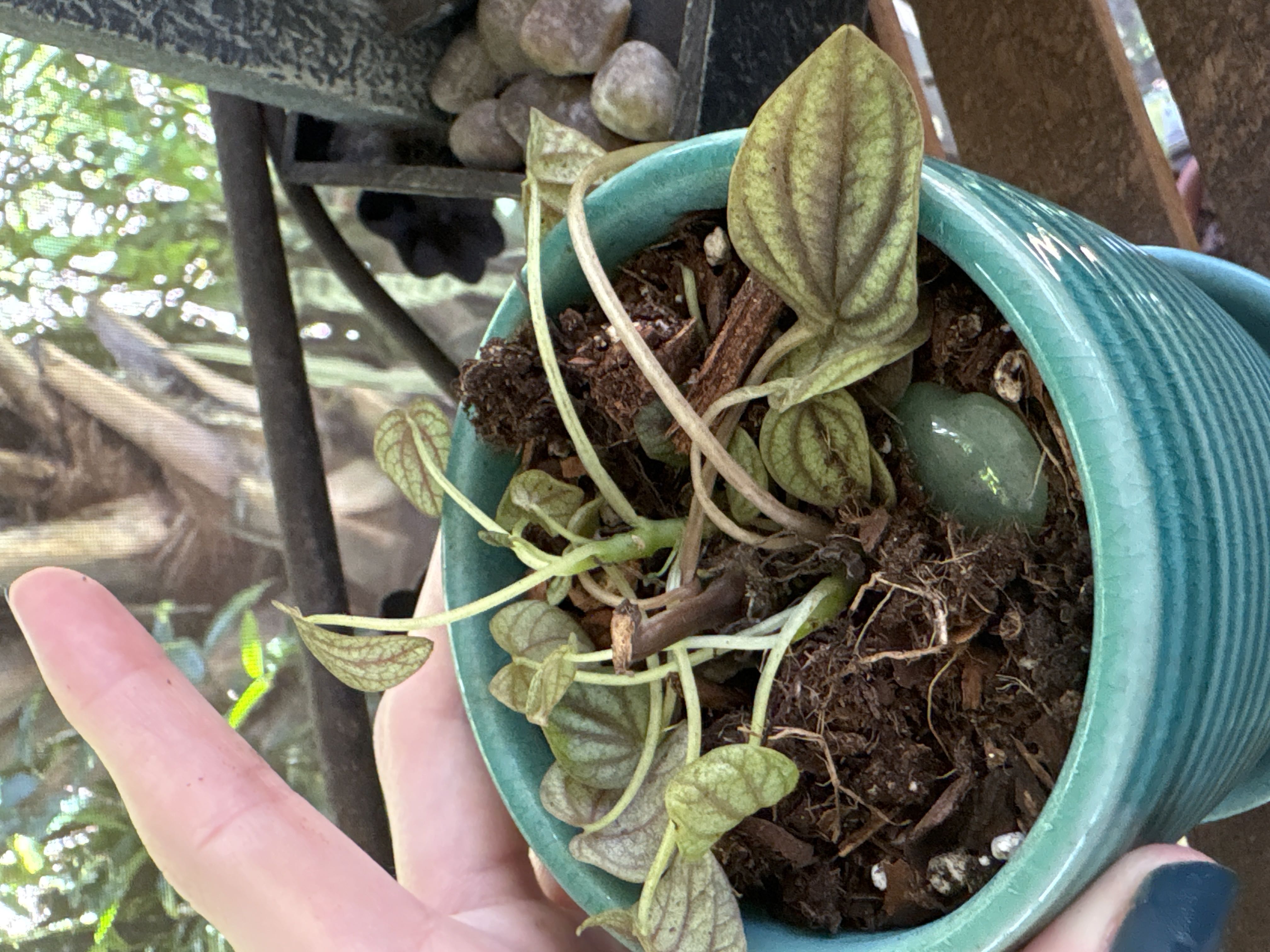 Photo from the post
