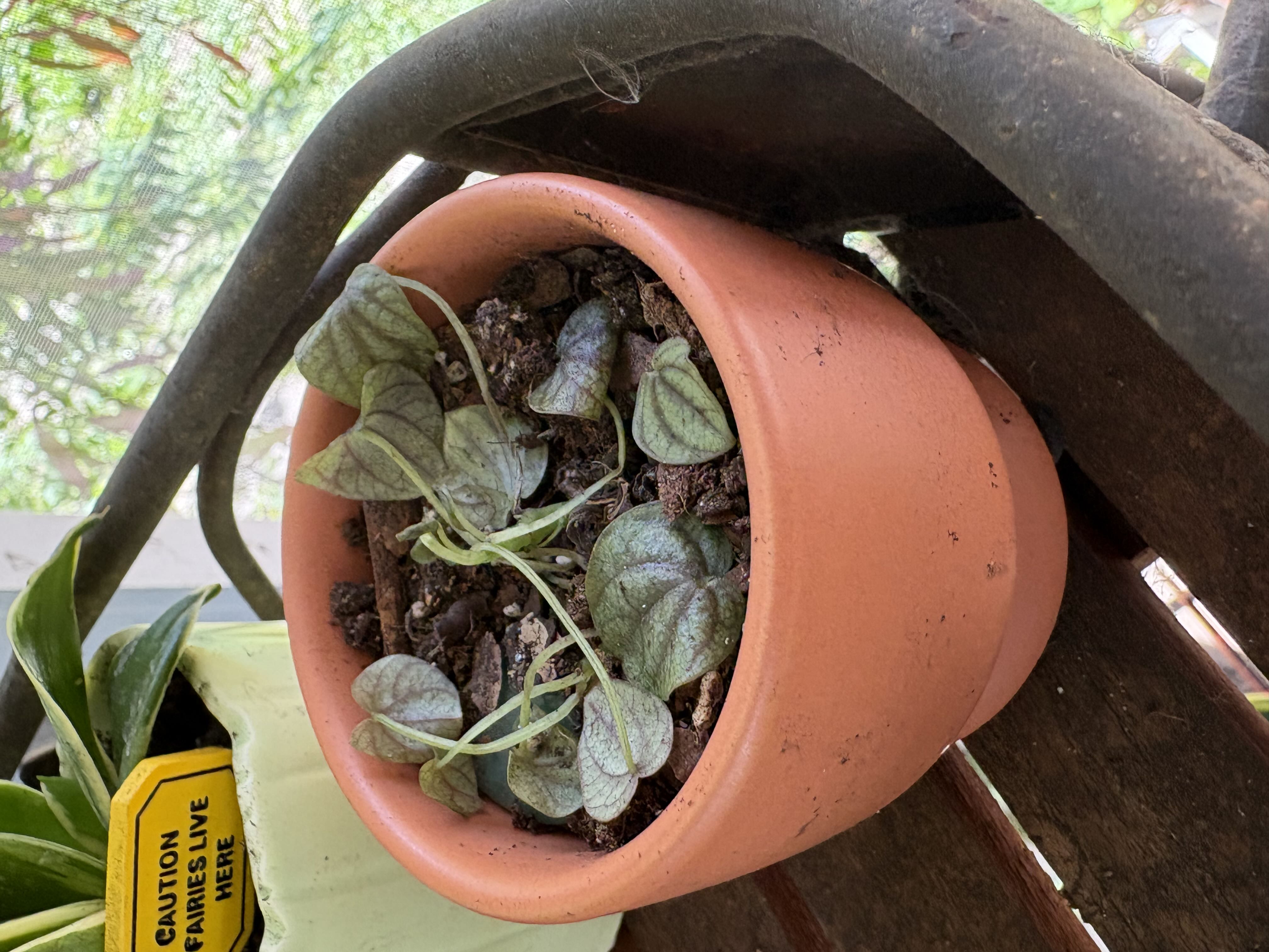 Photo from the post
