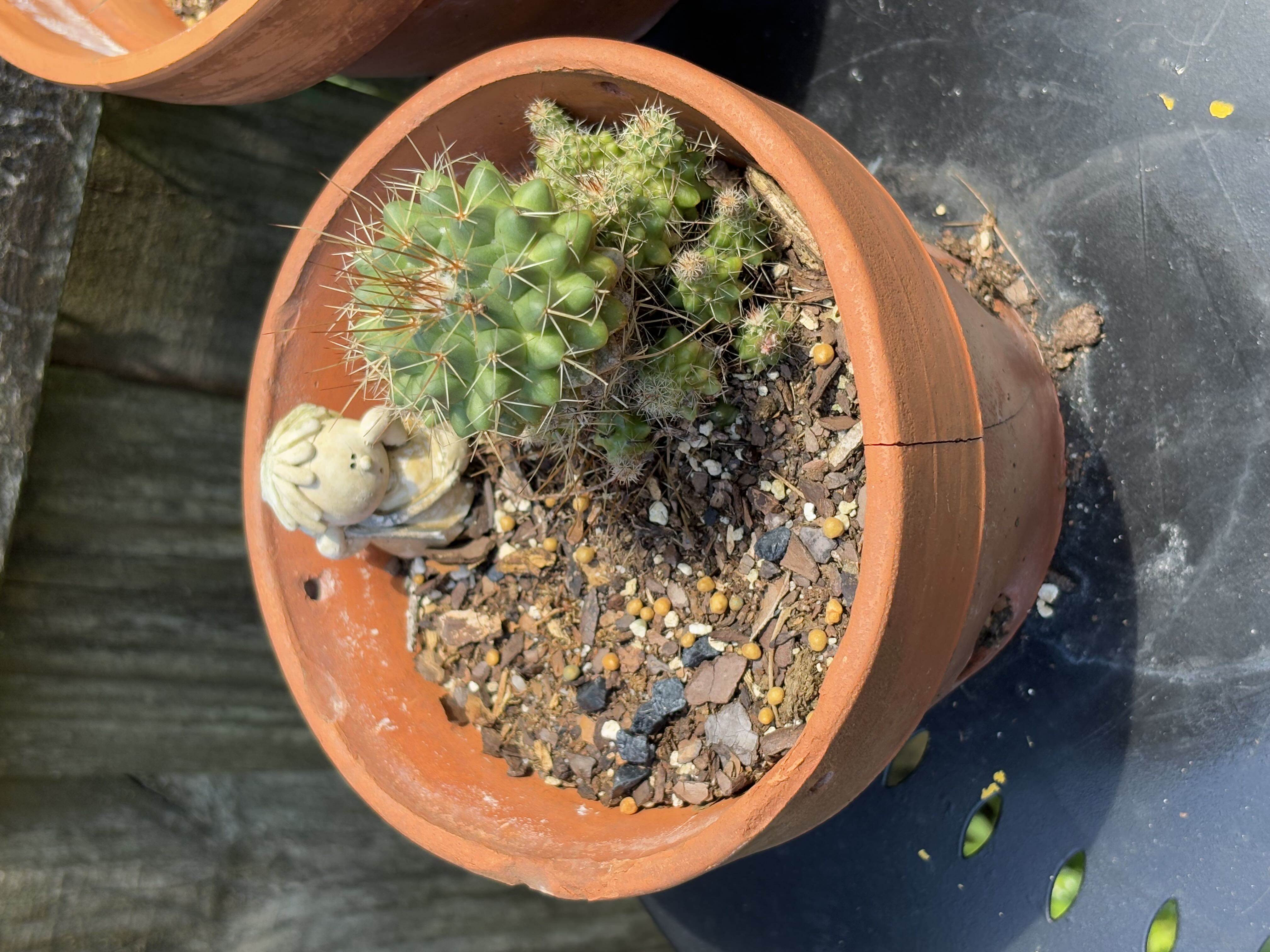 Photo from the post