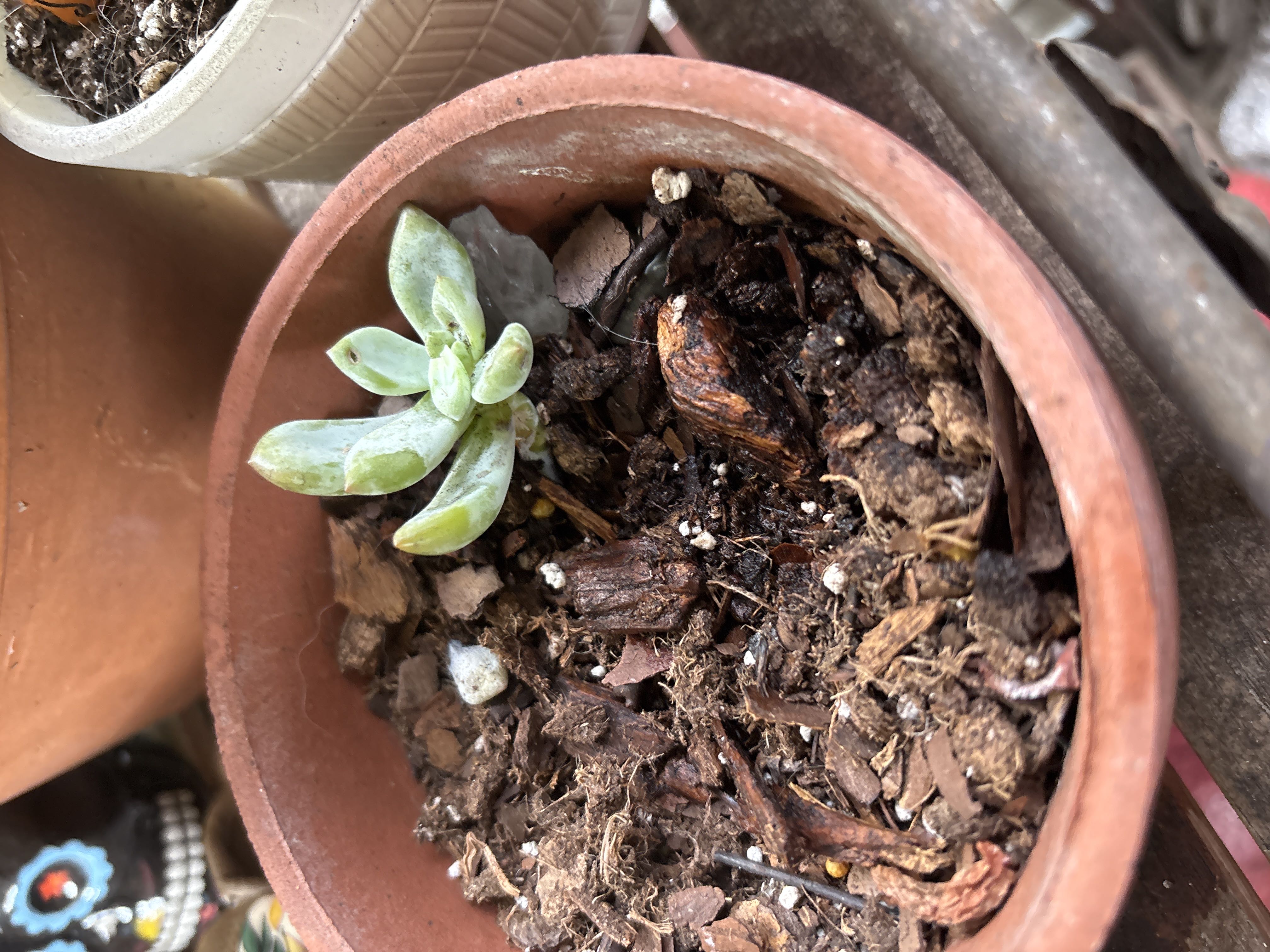 Photo from the post