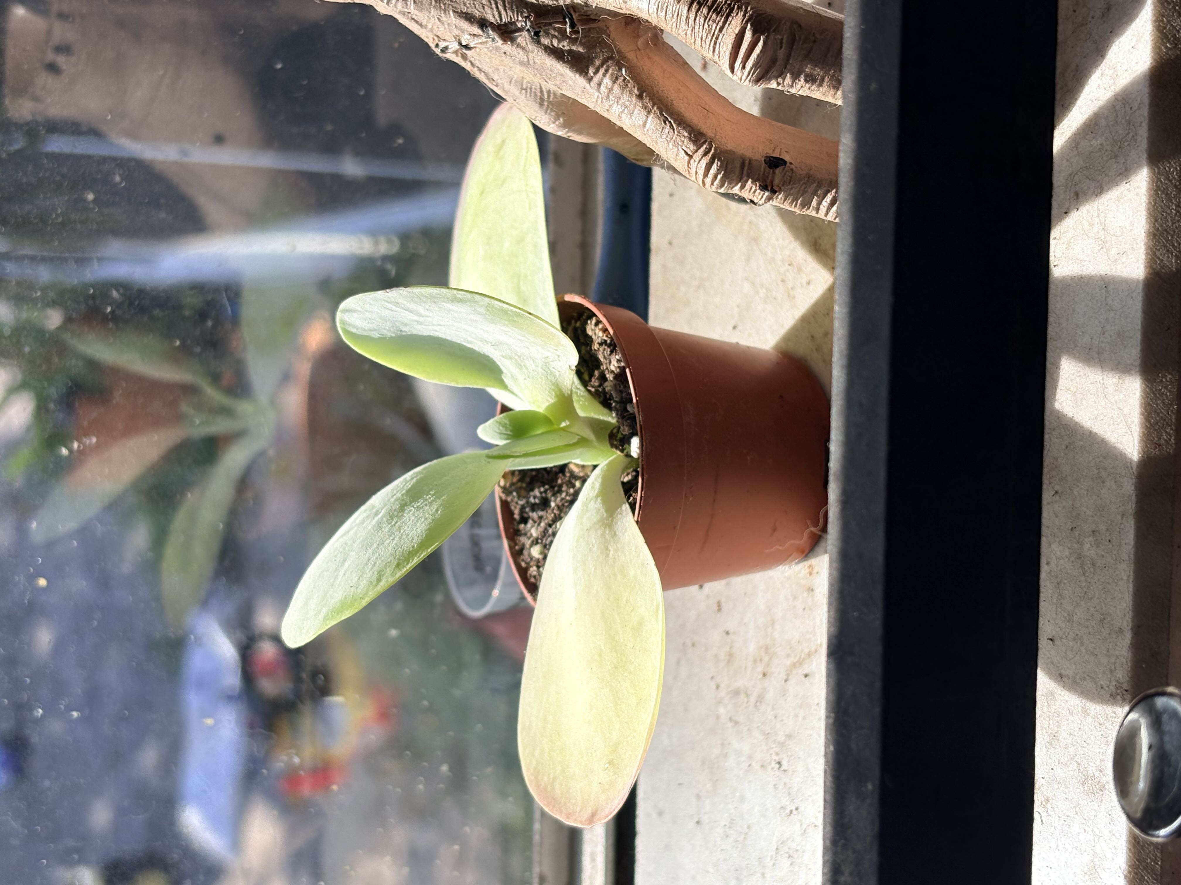 Photo from the post