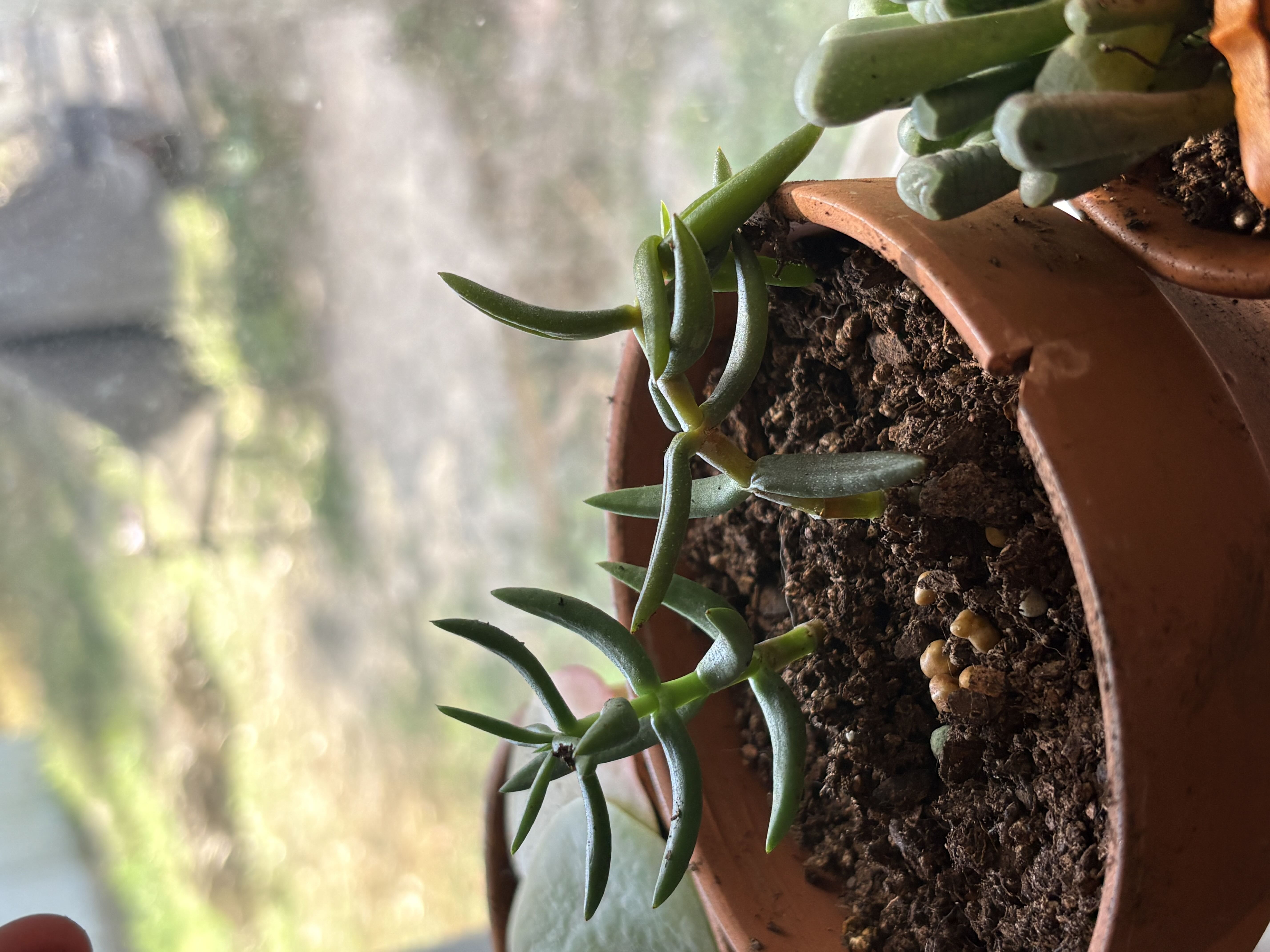 Photo from the post