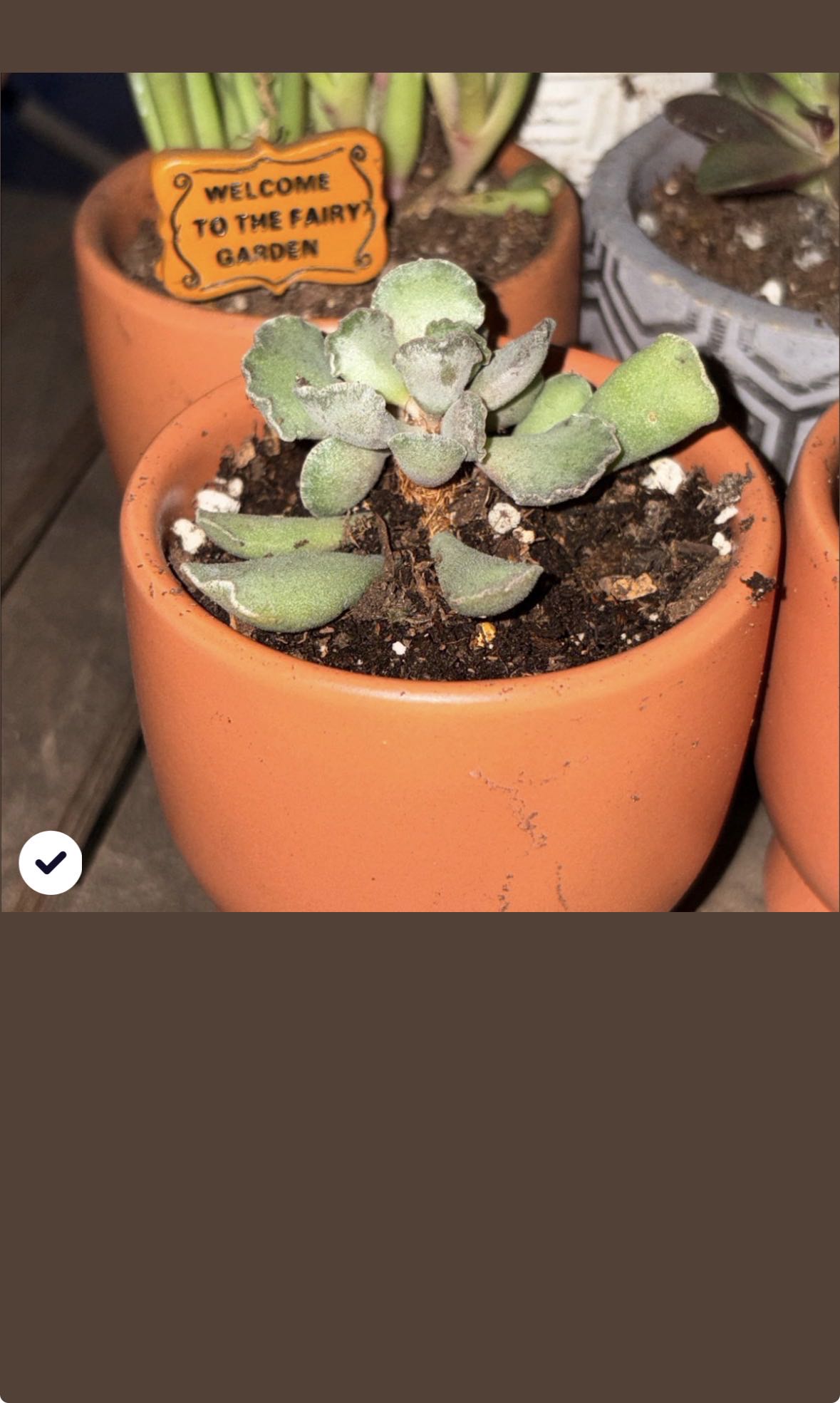 Photo from the post