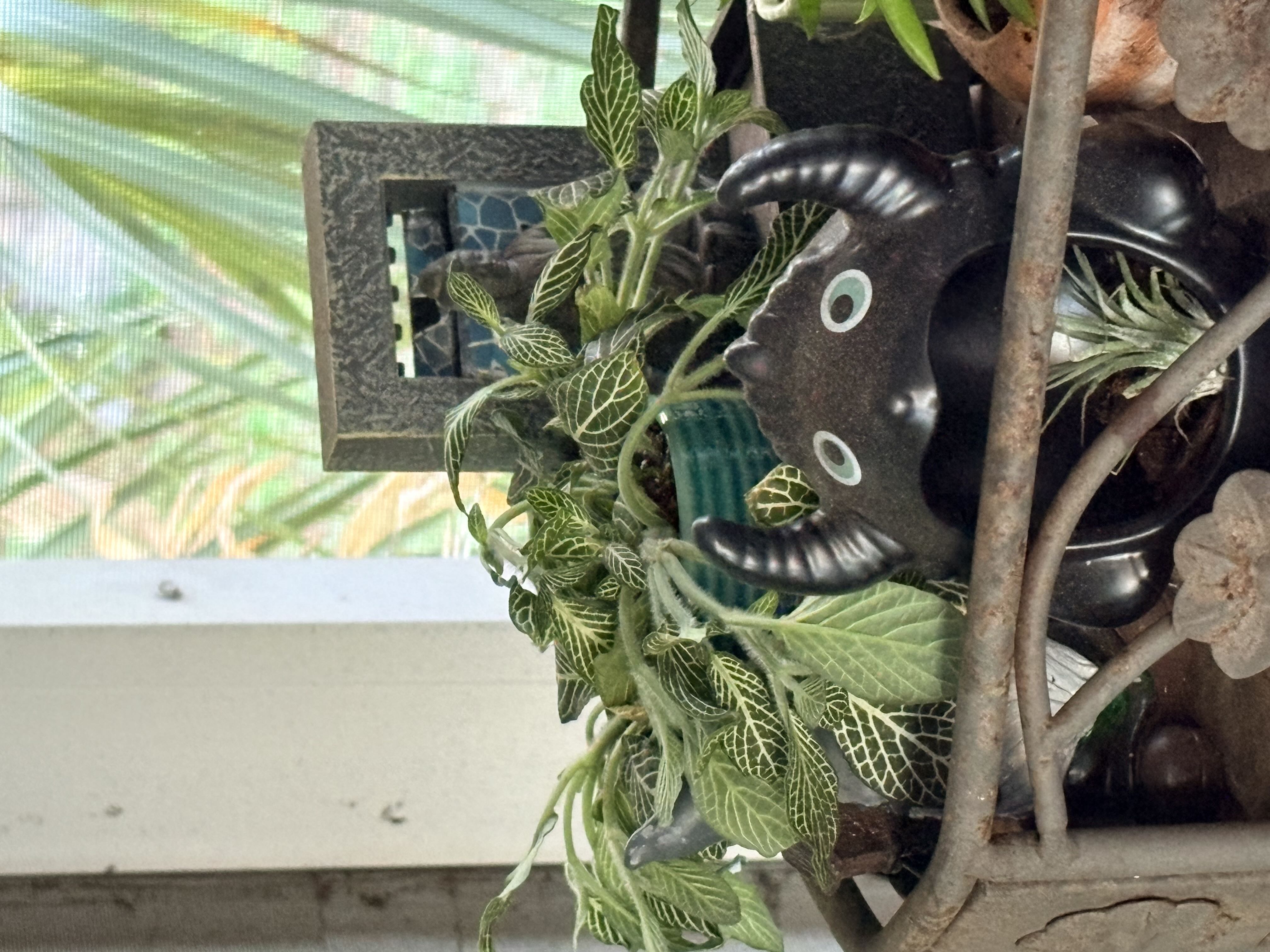 Photo from the post