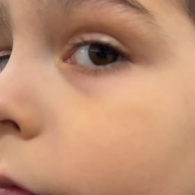 Photo of the plant species Black Walnut by @NiceIronweed99 named Khaleesi on Greg, the plant care app