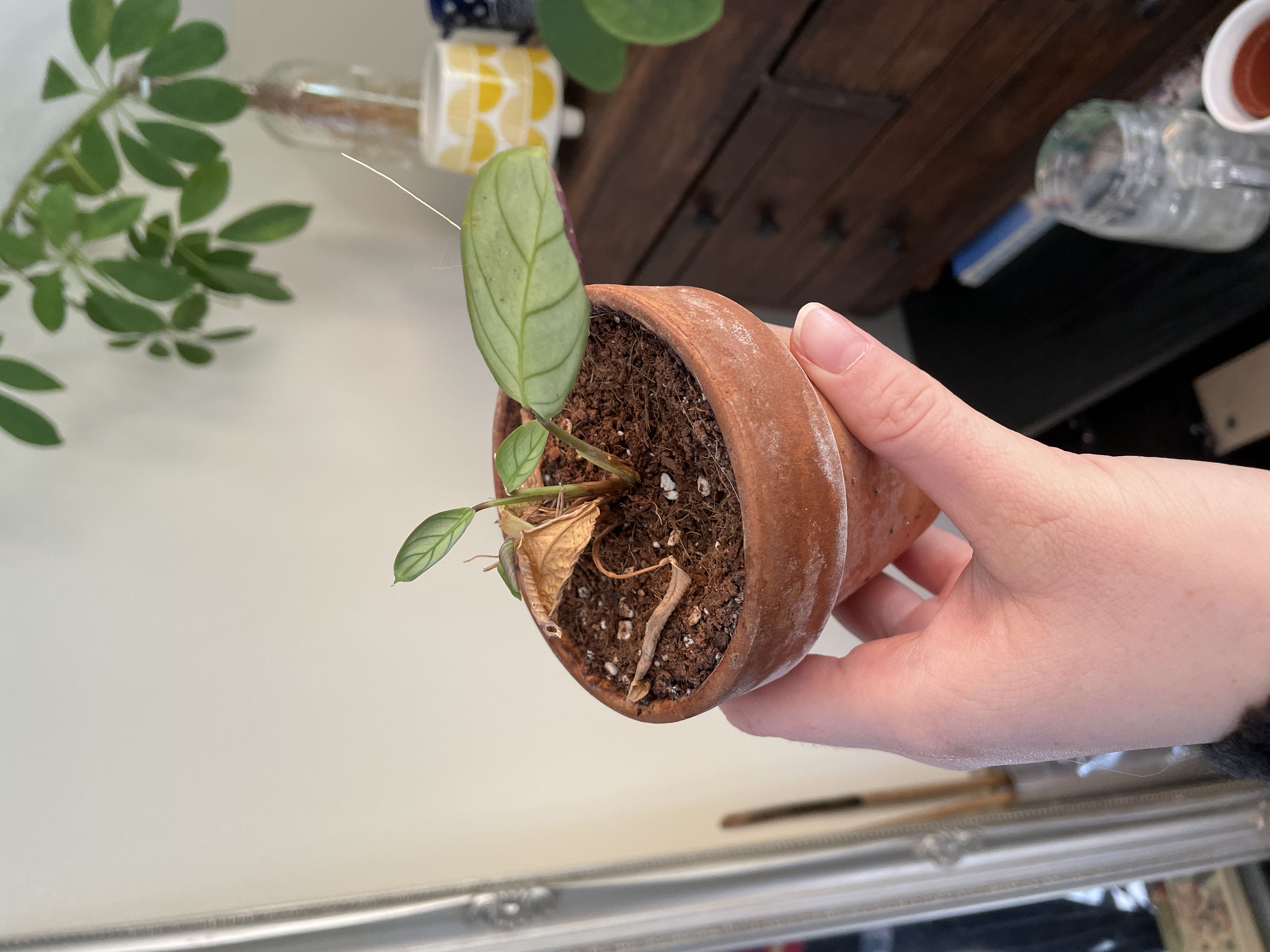 Photo from the post