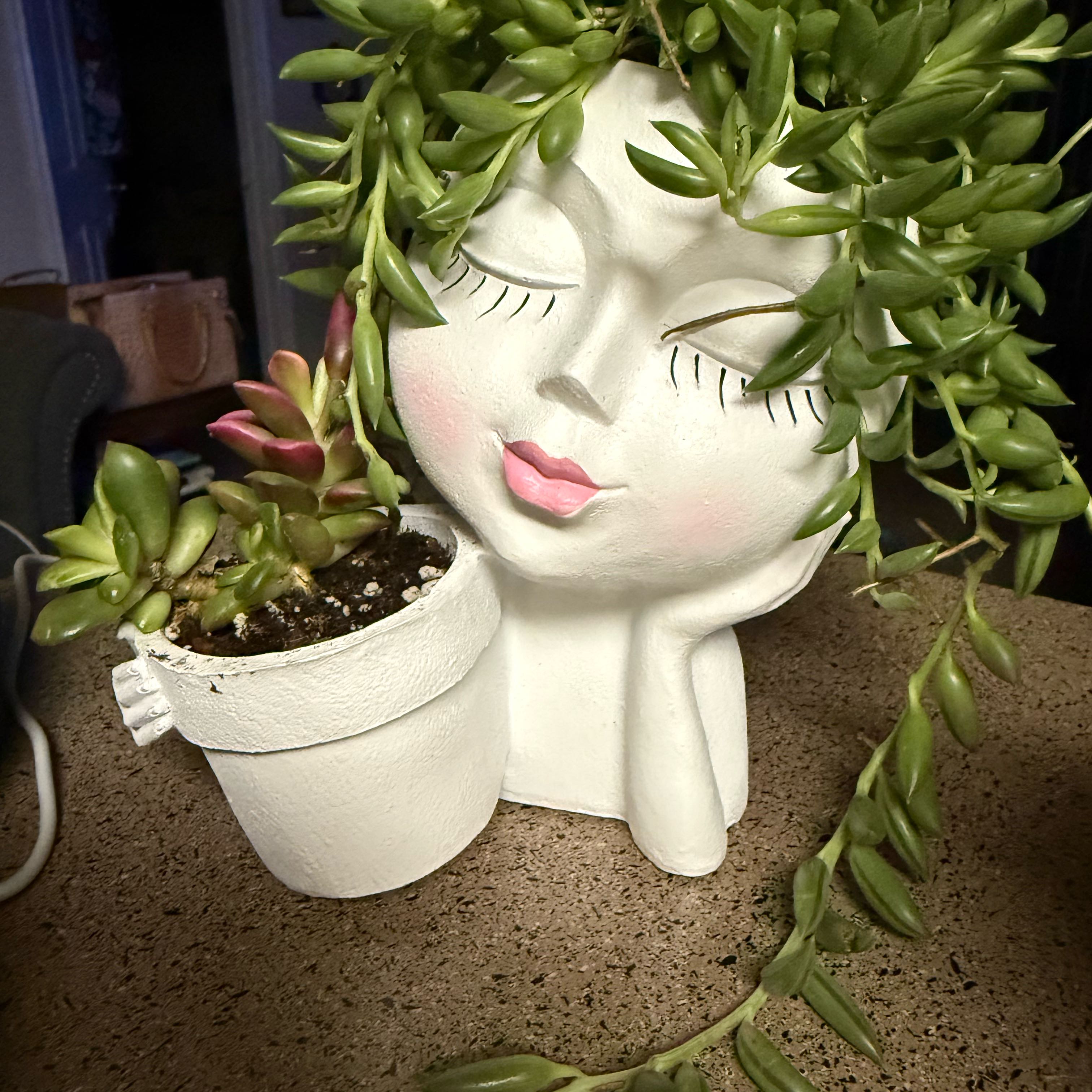 Photo of the plant species 'Black Flash' by @DynamoLuckycoin named Miley on Greg, the plant care app