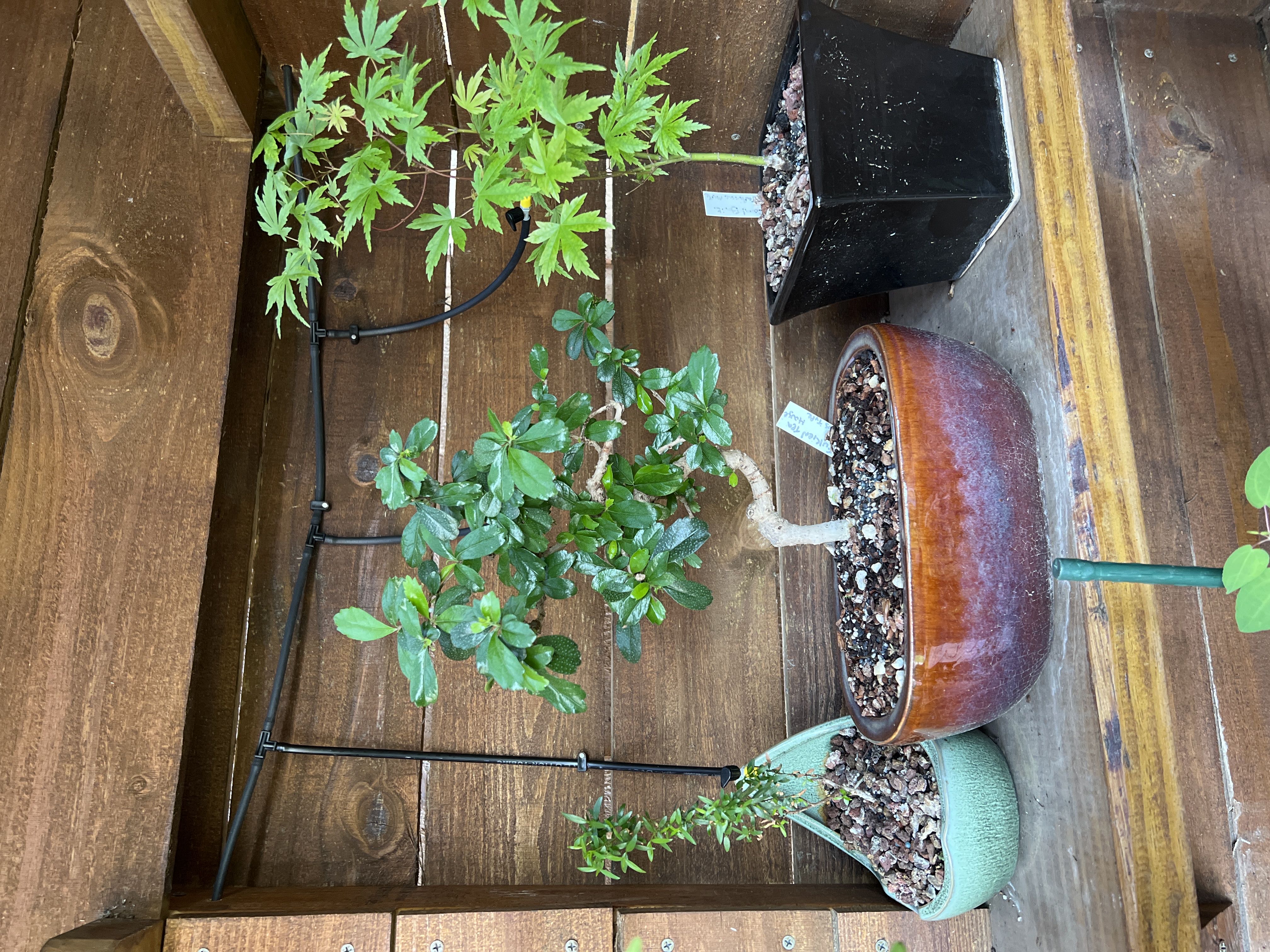 Photo from the post
