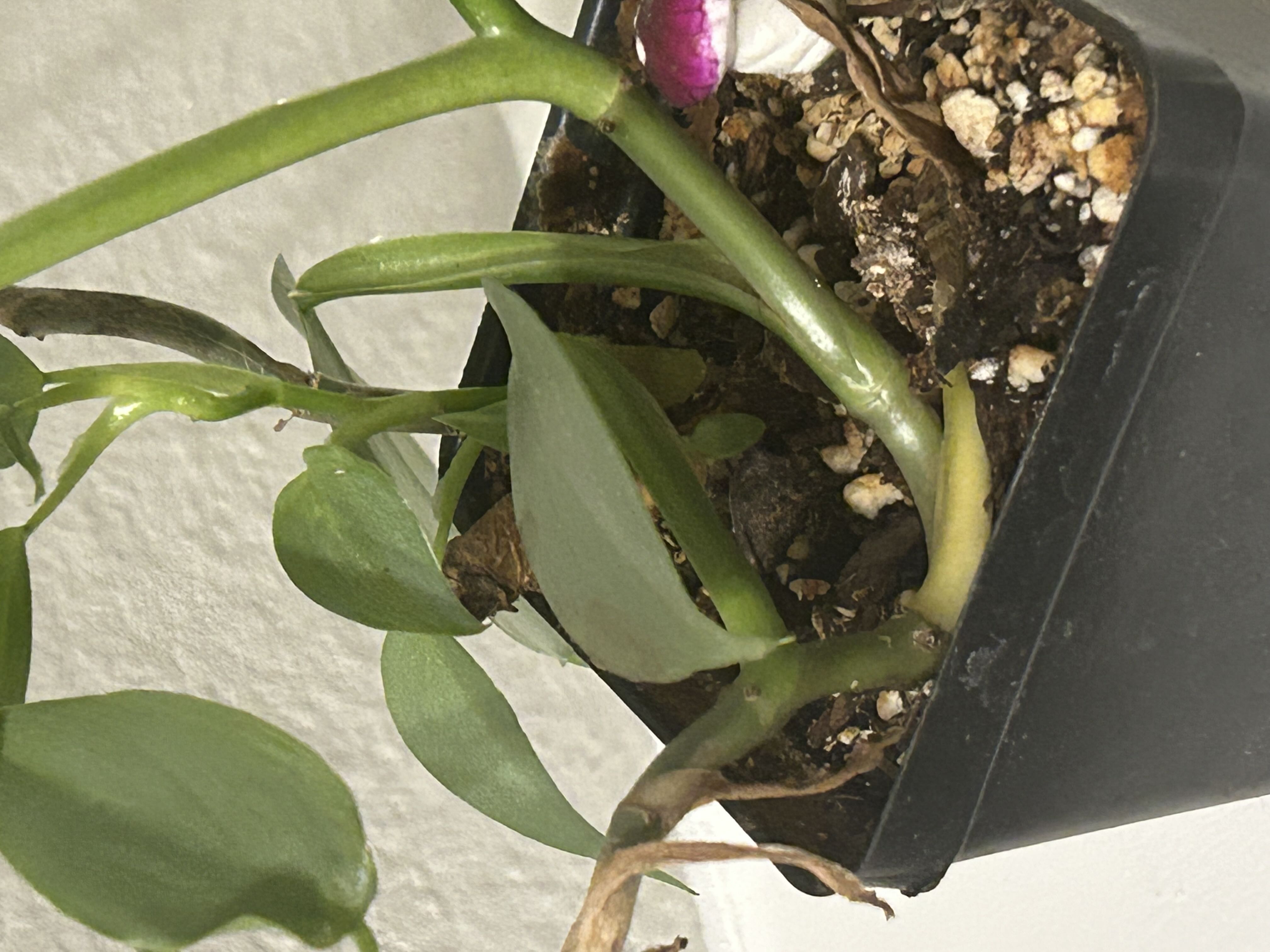 Photo from the post