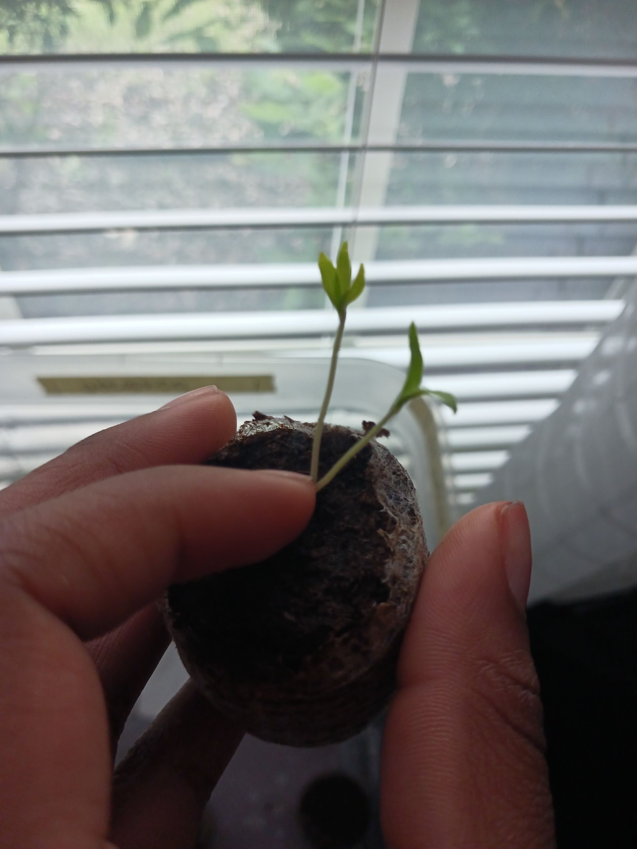 Photo from the post