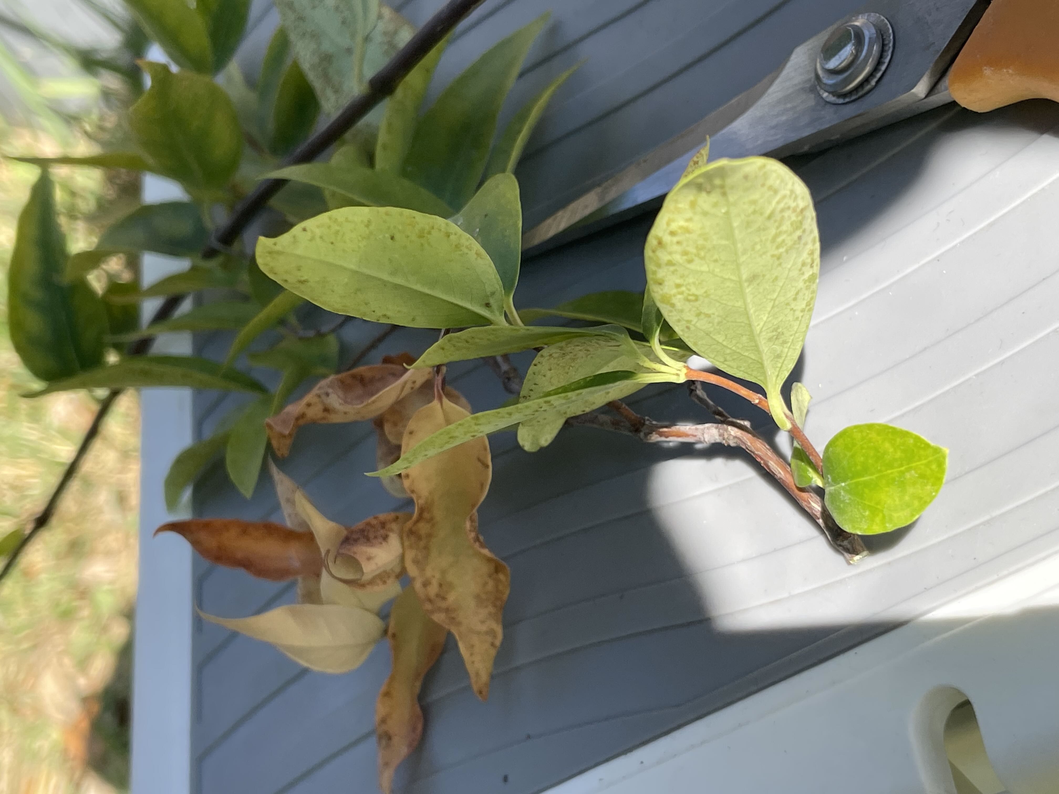 Photo from the post