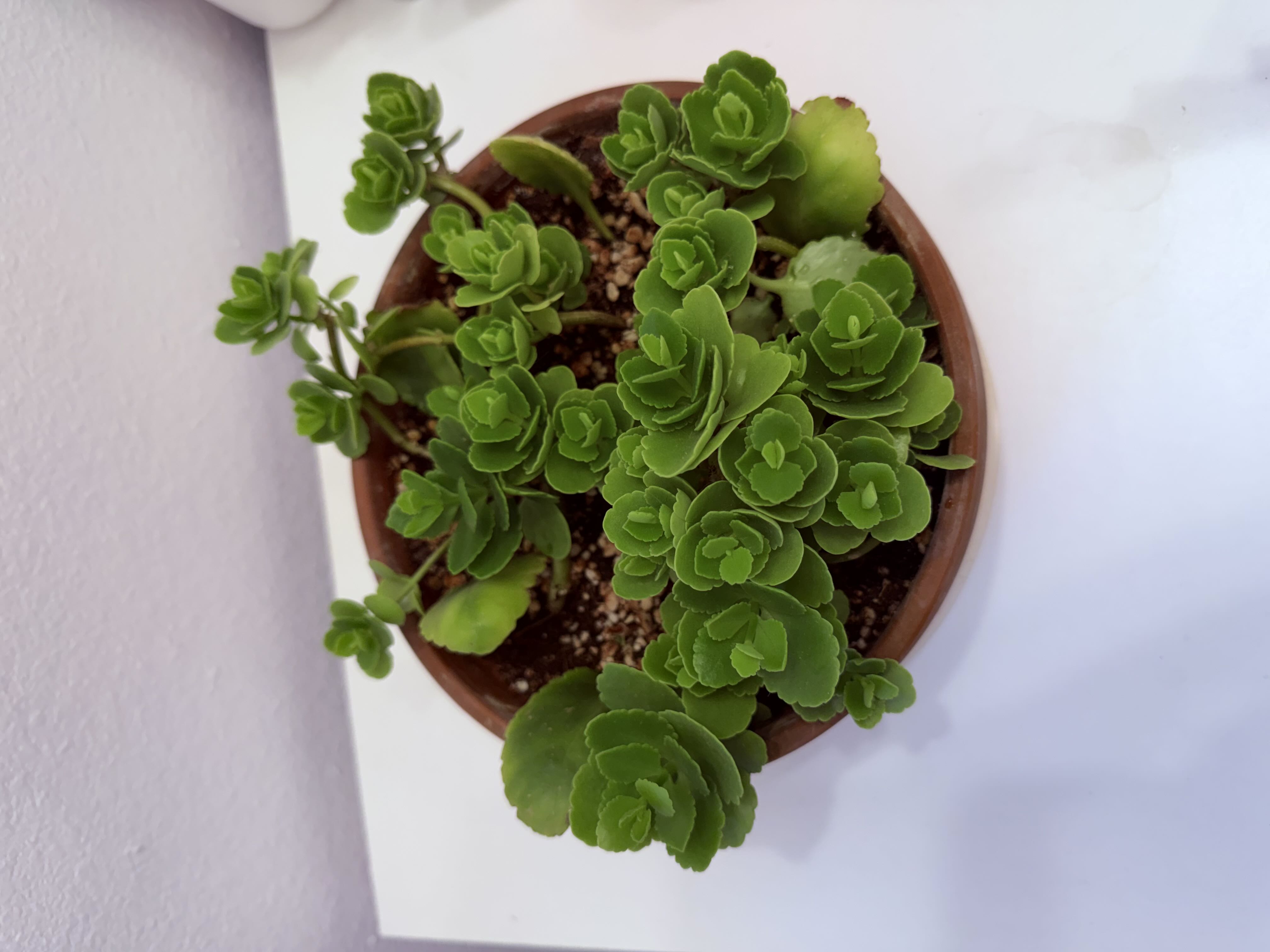 Photo from the post