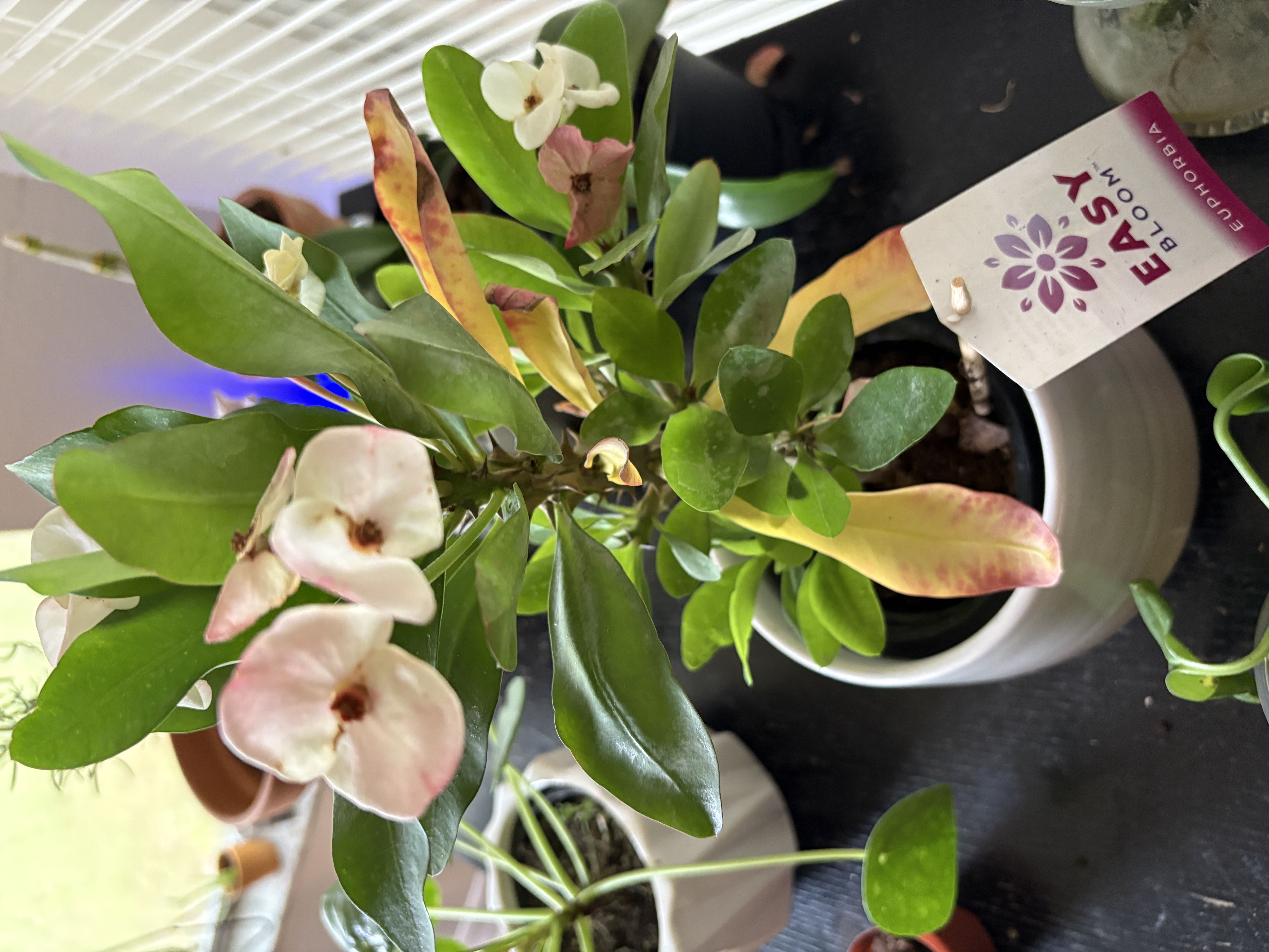 Photo from the post