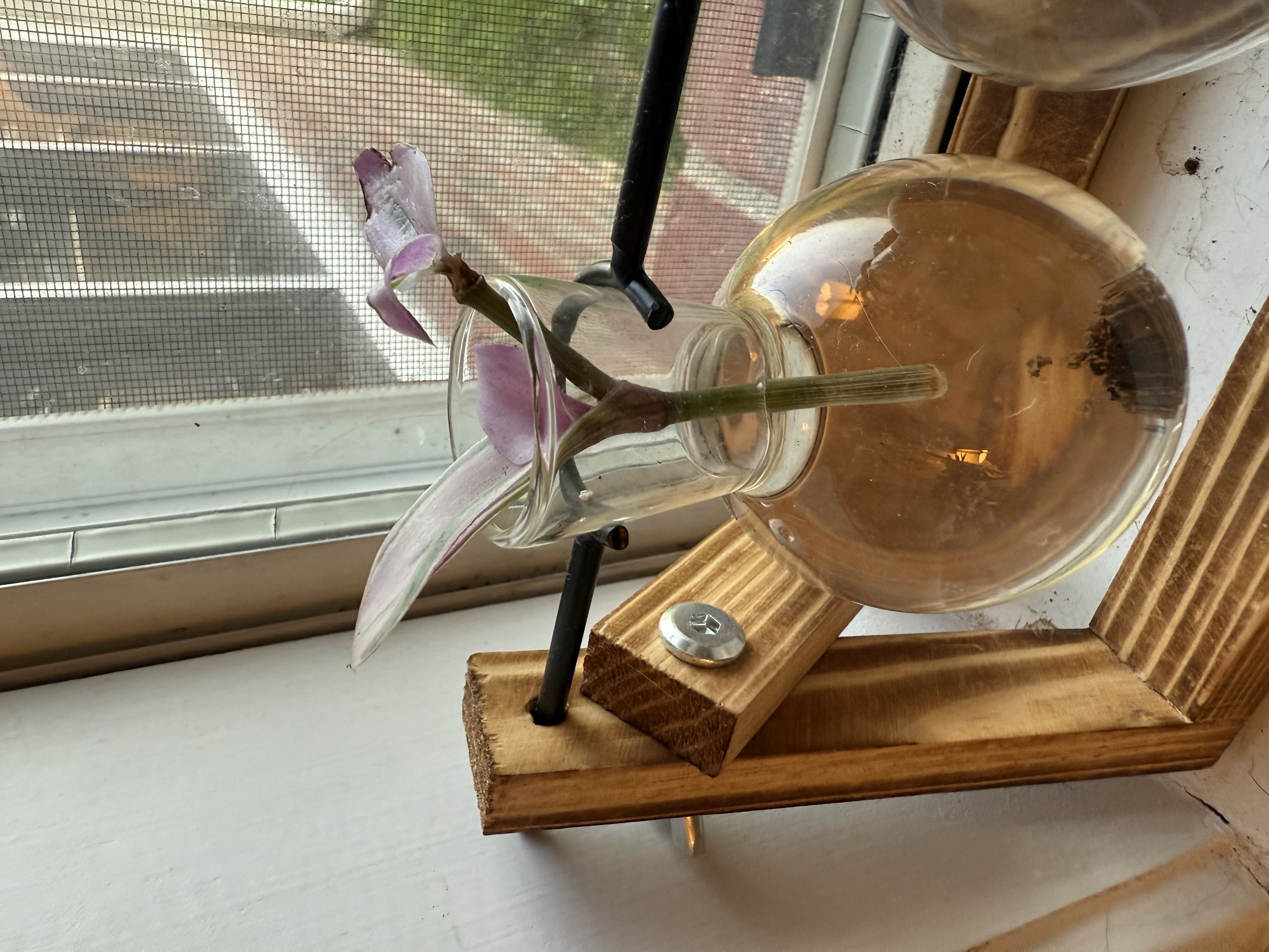 Photo from the post