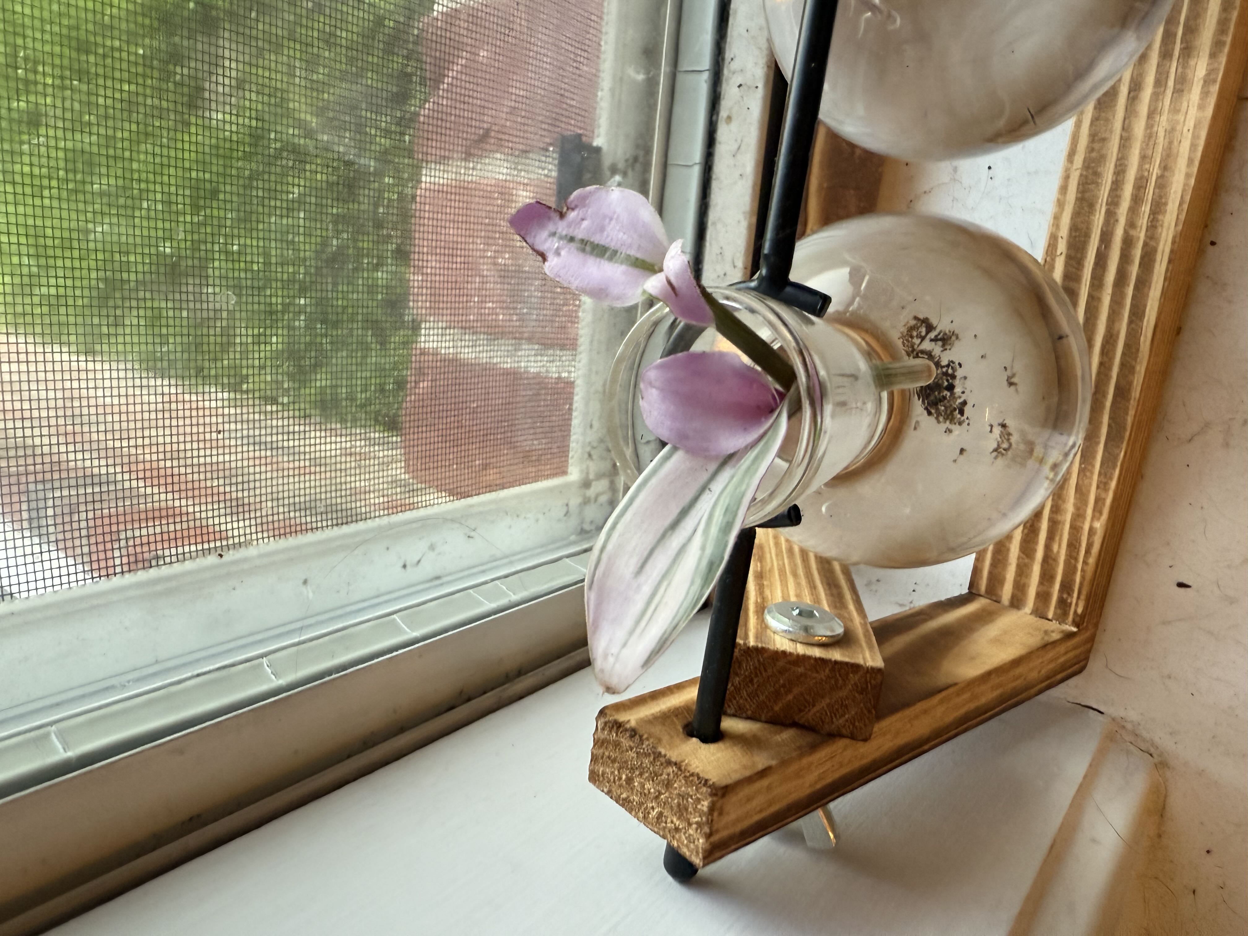 Photo from the post