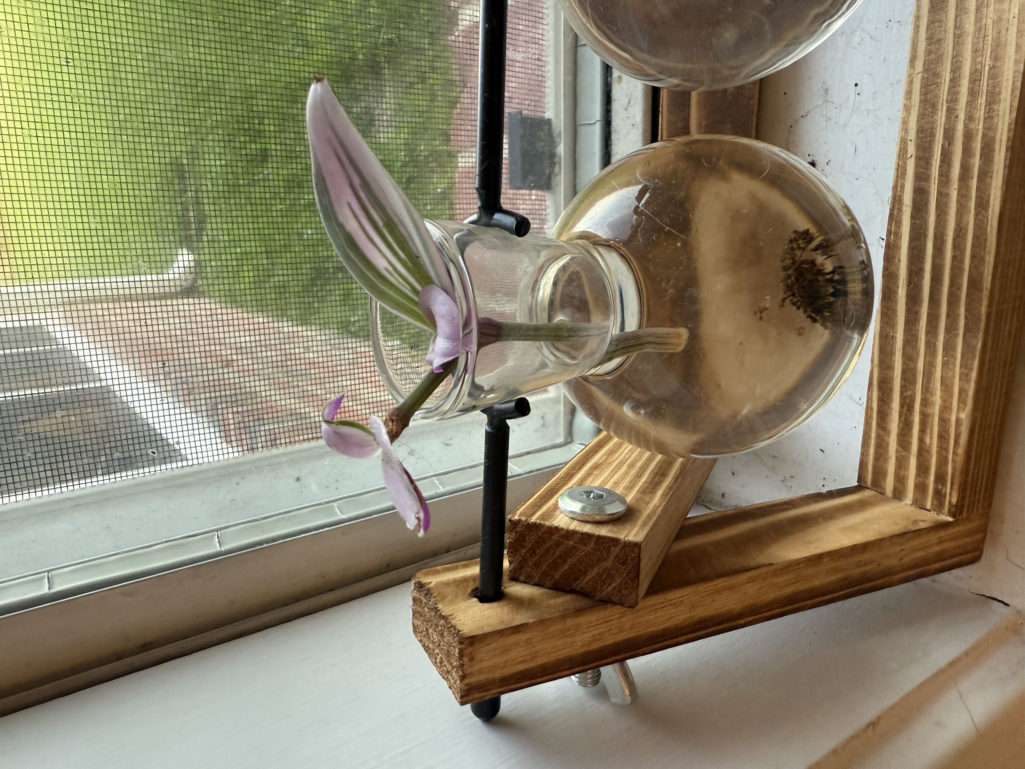 Photo from the post