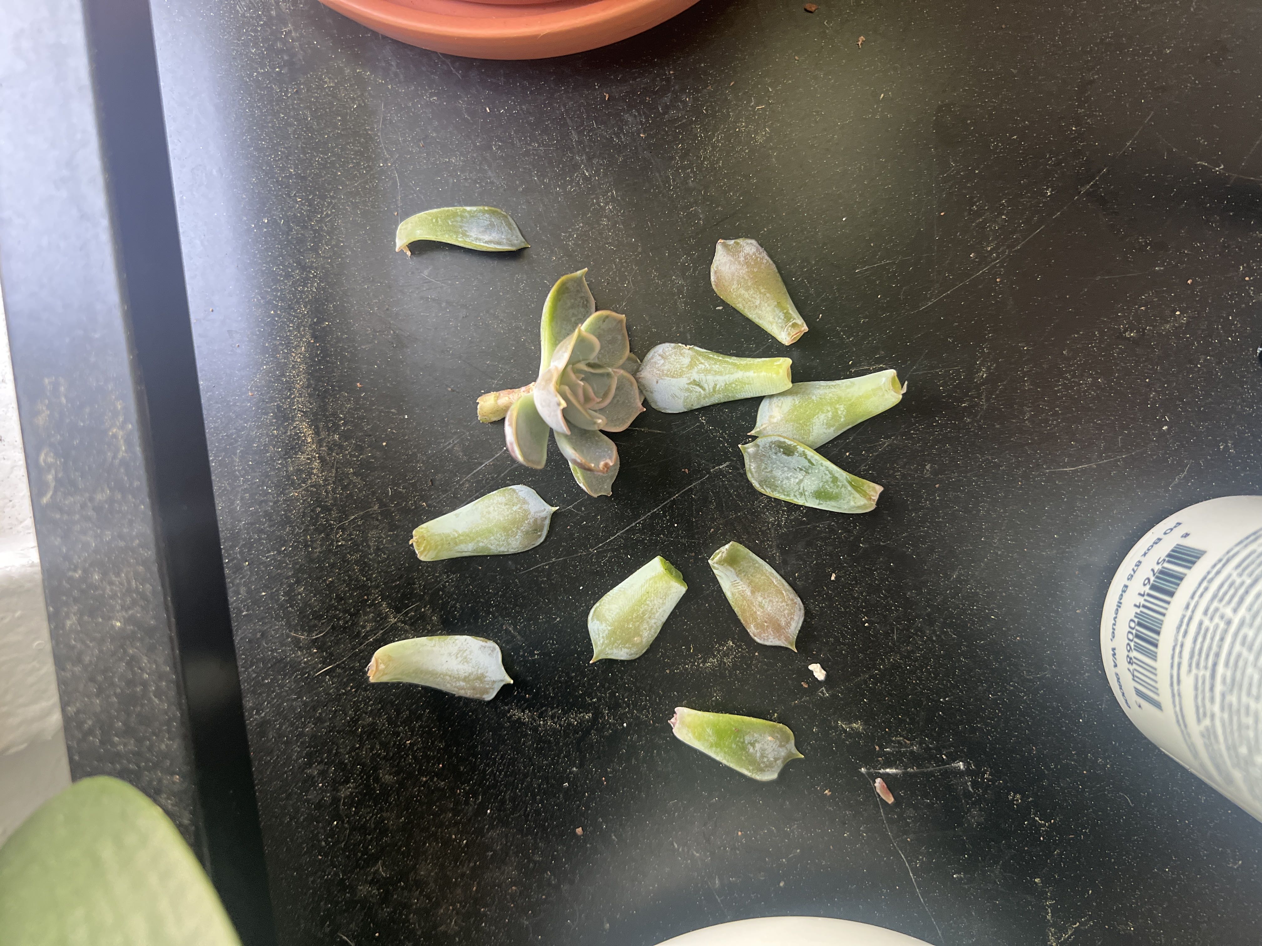 Photo from the post