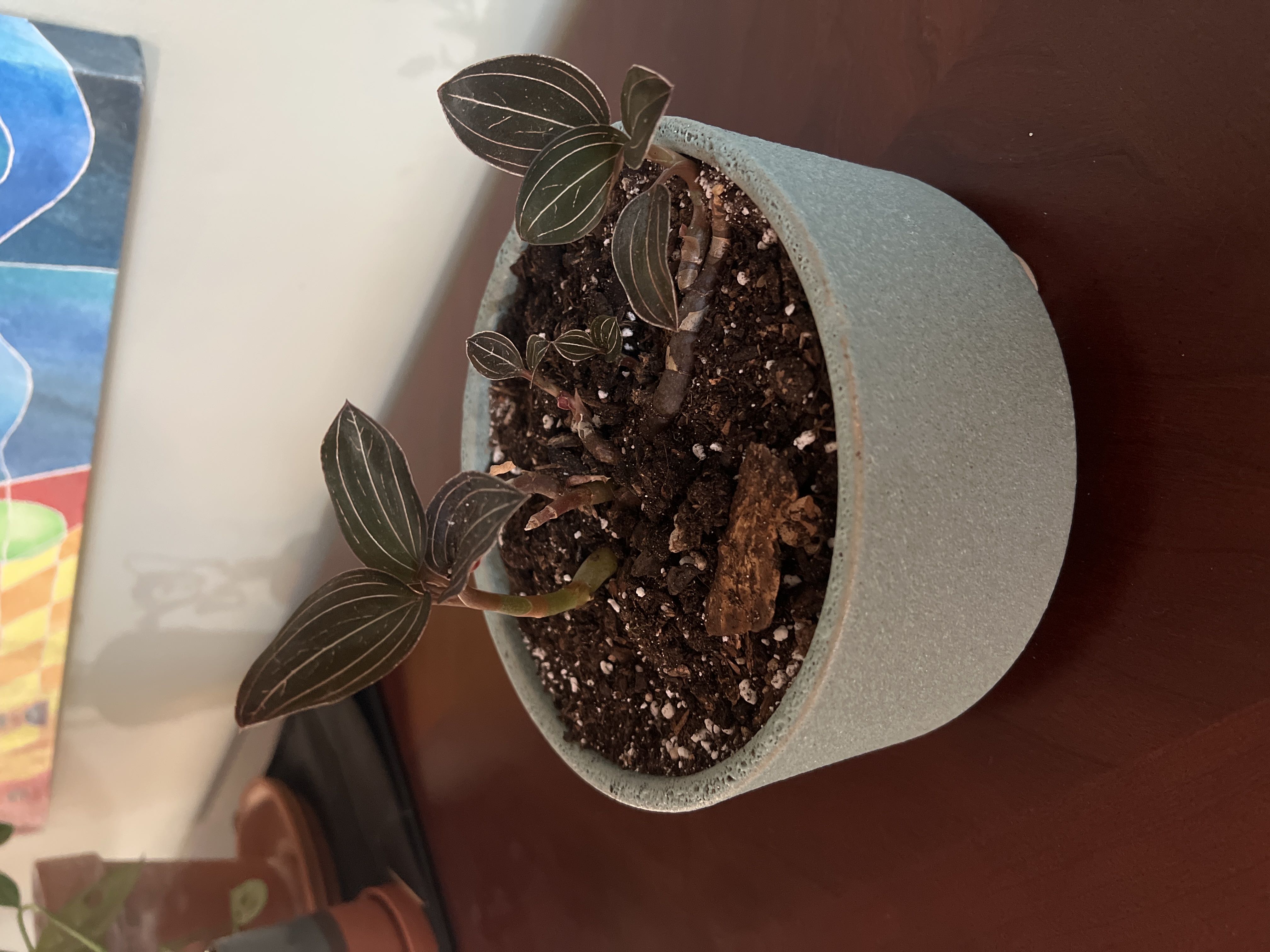 Photo from the post