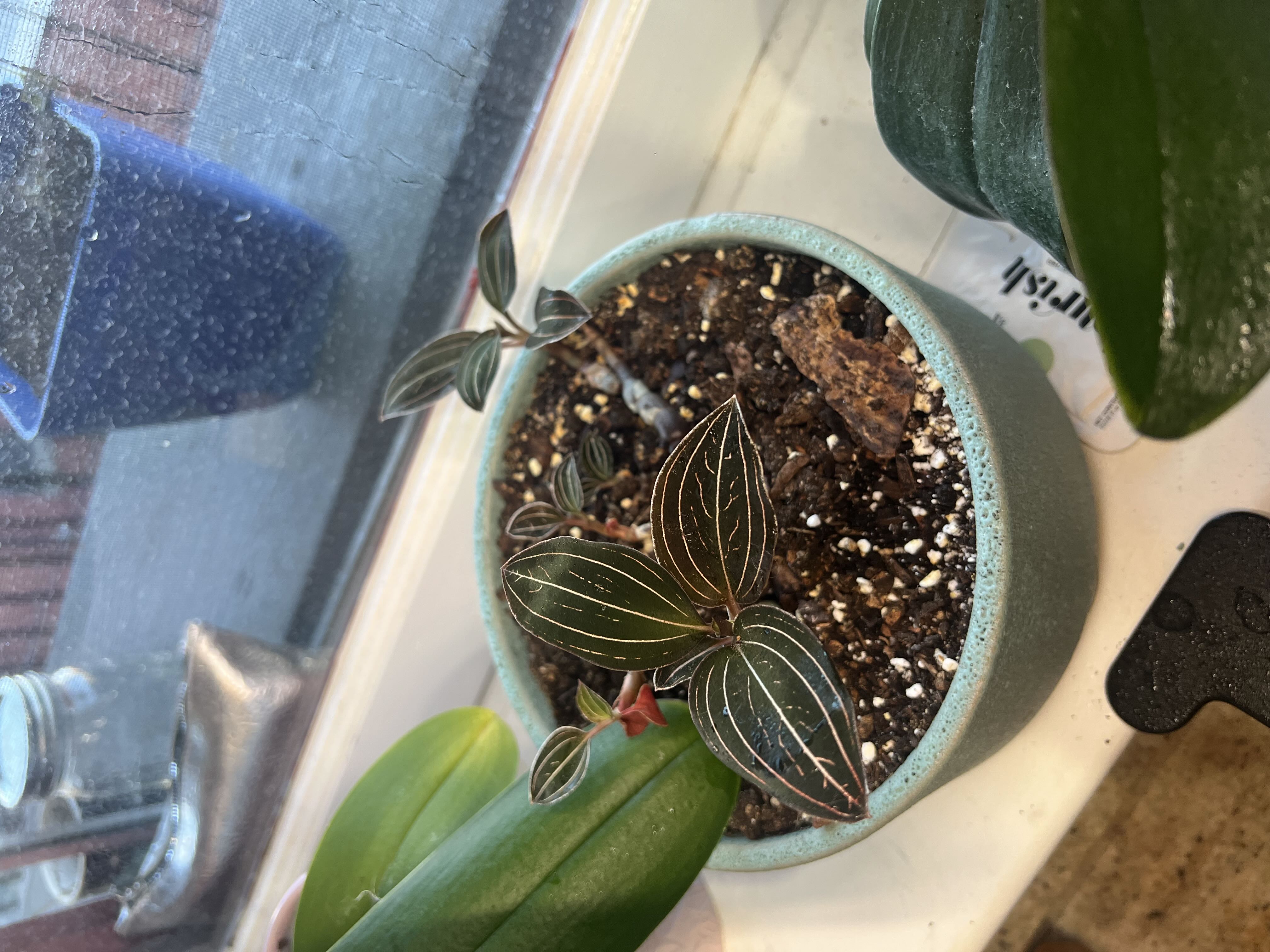 Photo from the post