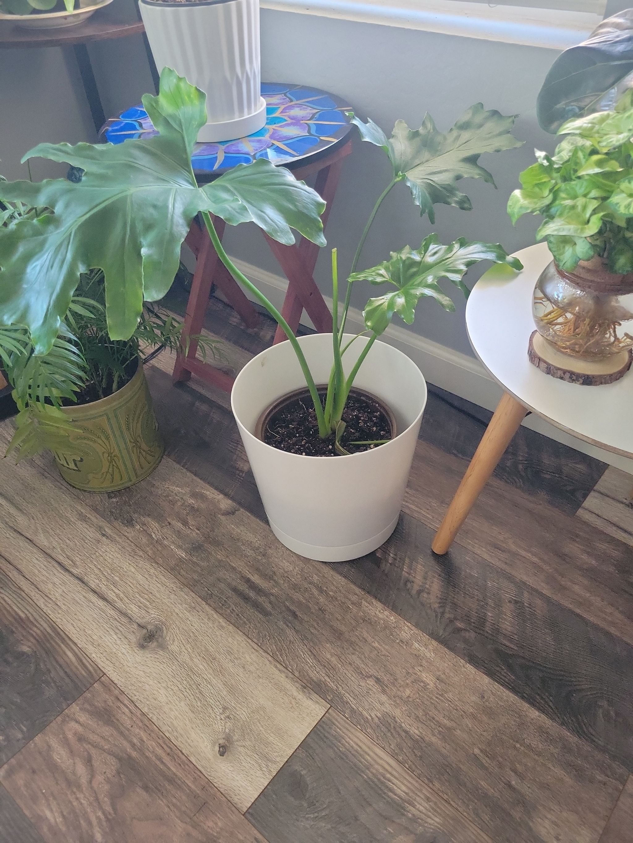 Photo from the post