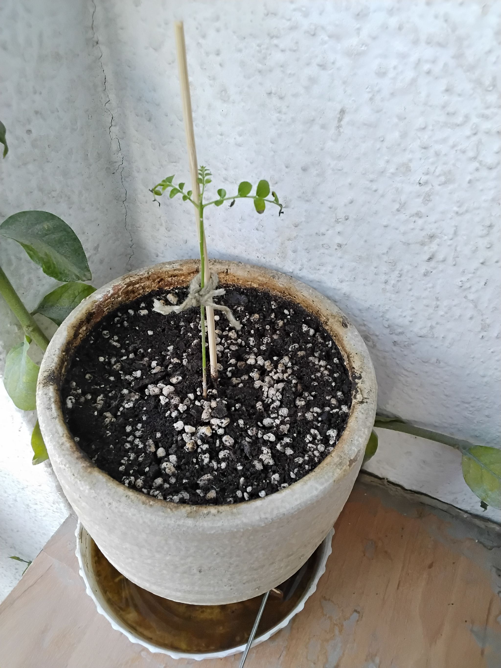 Photo from the post