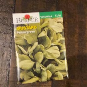 Photo of the plant species Tendergreen Mustard by @YiftAllspice11 named Remington on Greg, the plant care app