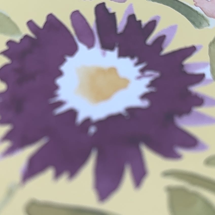 Photo of the plant species Dwarf Morning-Glory by @BrotherlyPhlox1 named Gregarious on Greg, the plant care app