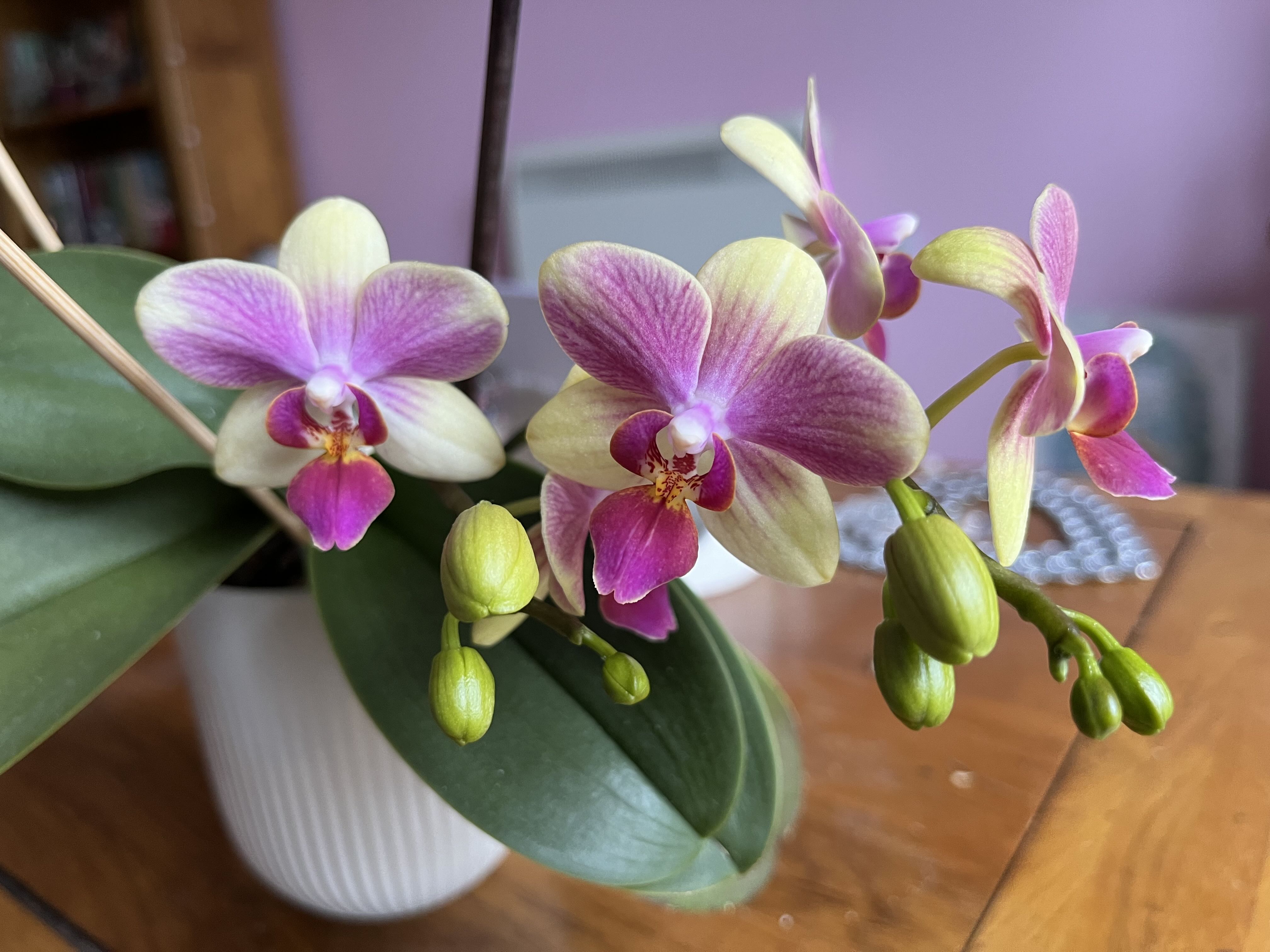 Photo from the post
