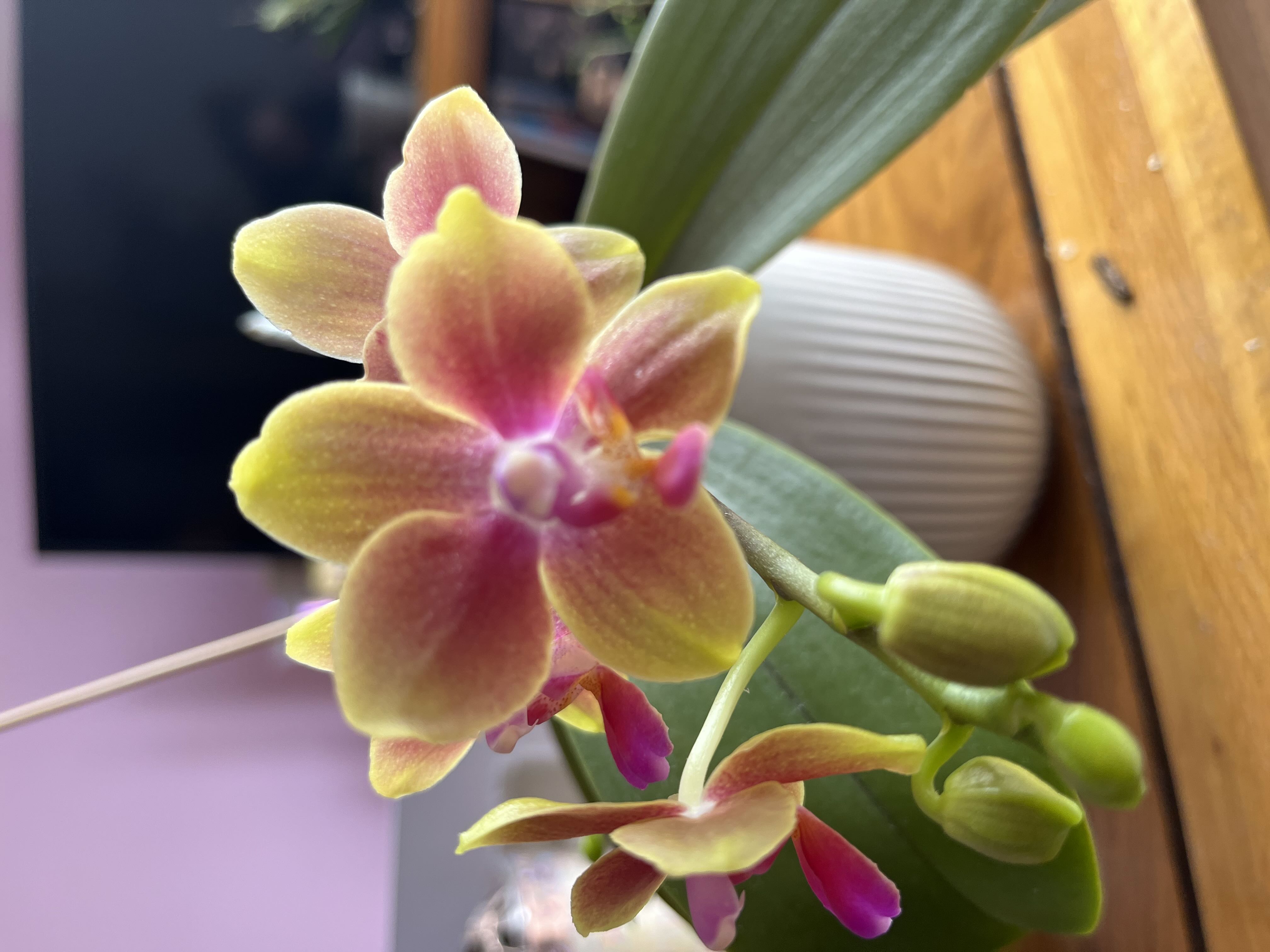 Photo from the post